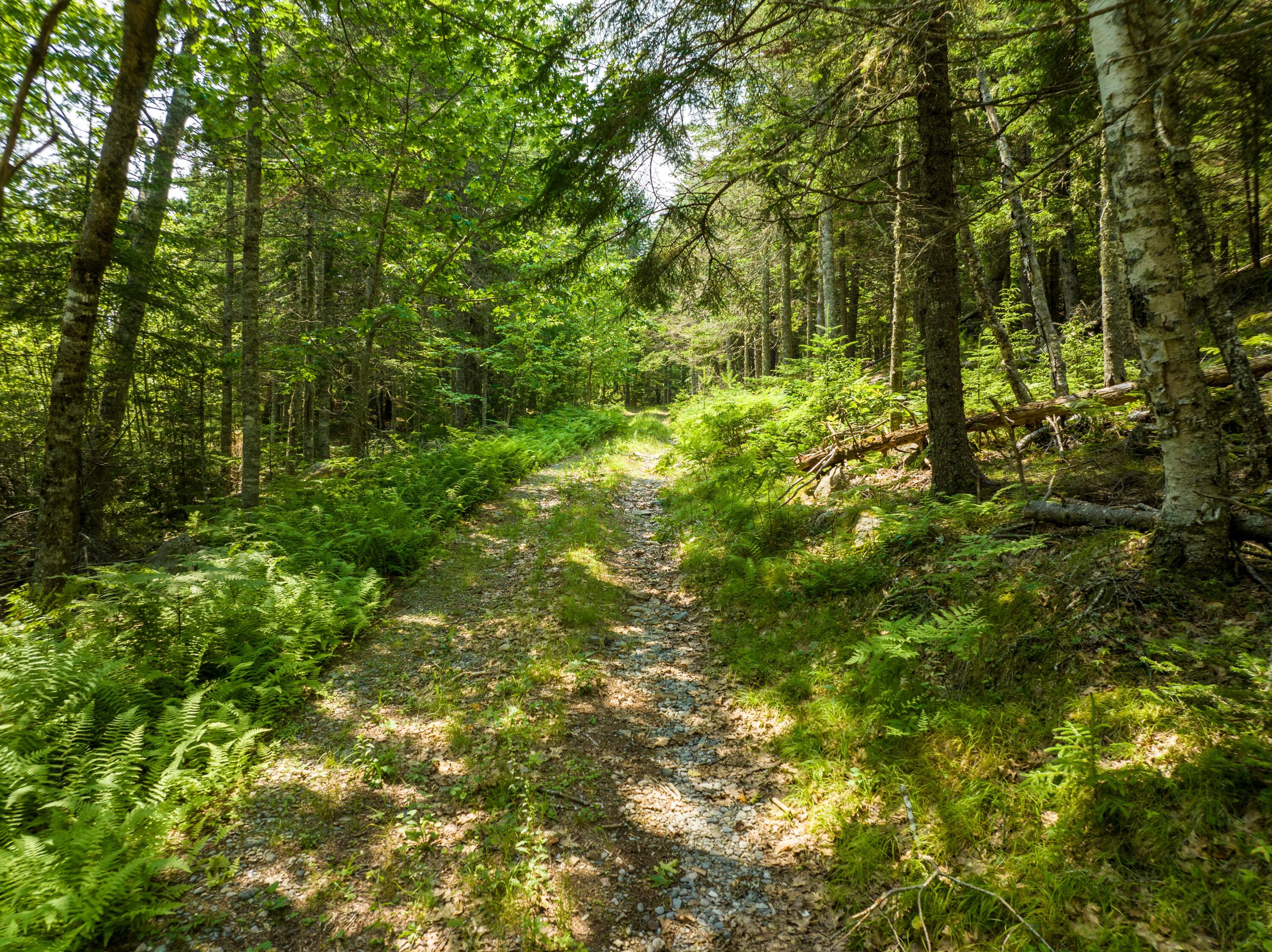 65 Lookout Mountain Road, East Machias, ME, 04630