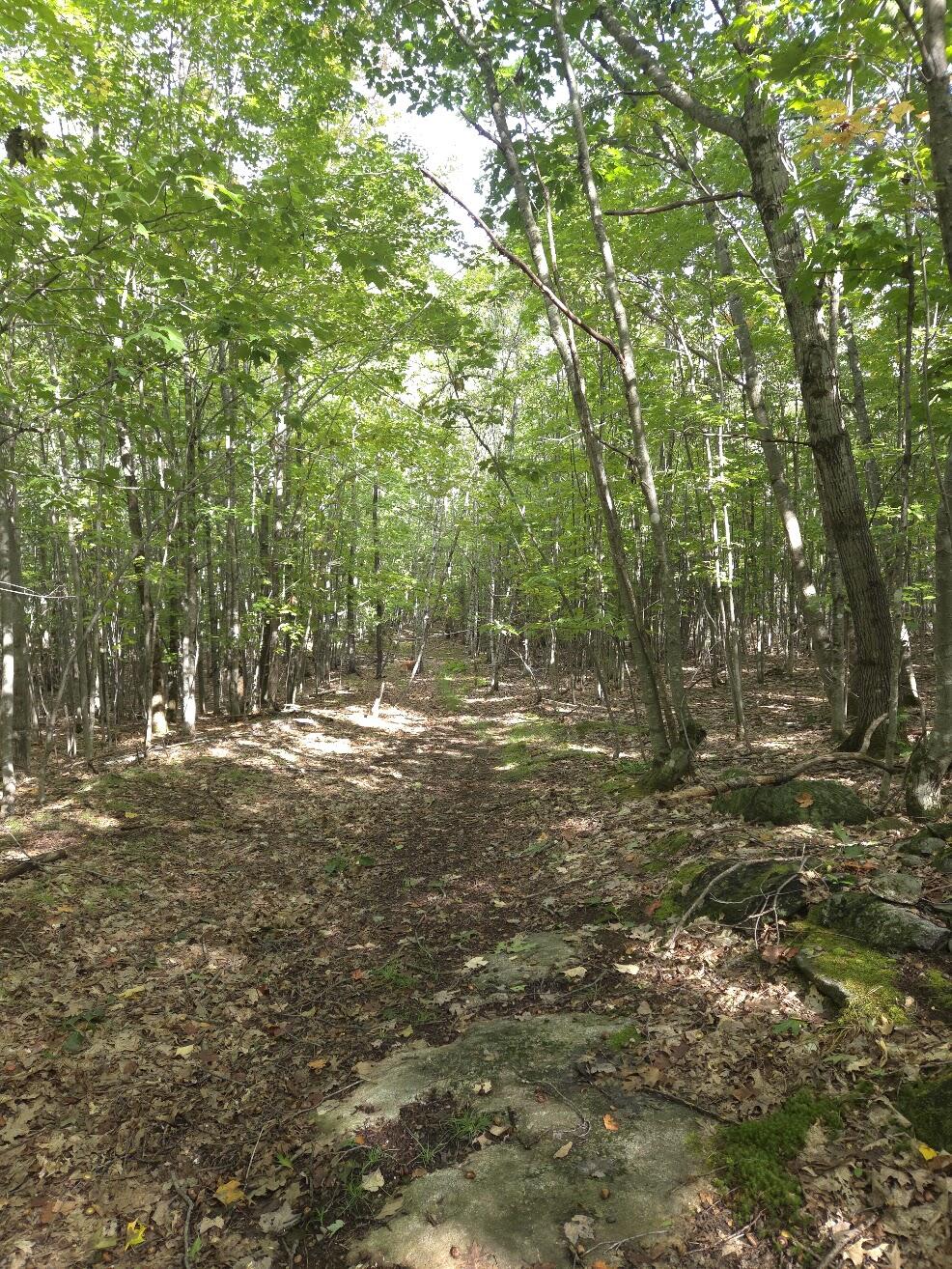 125 High Street, West Paris, ME 04289 Walking Trails on Property