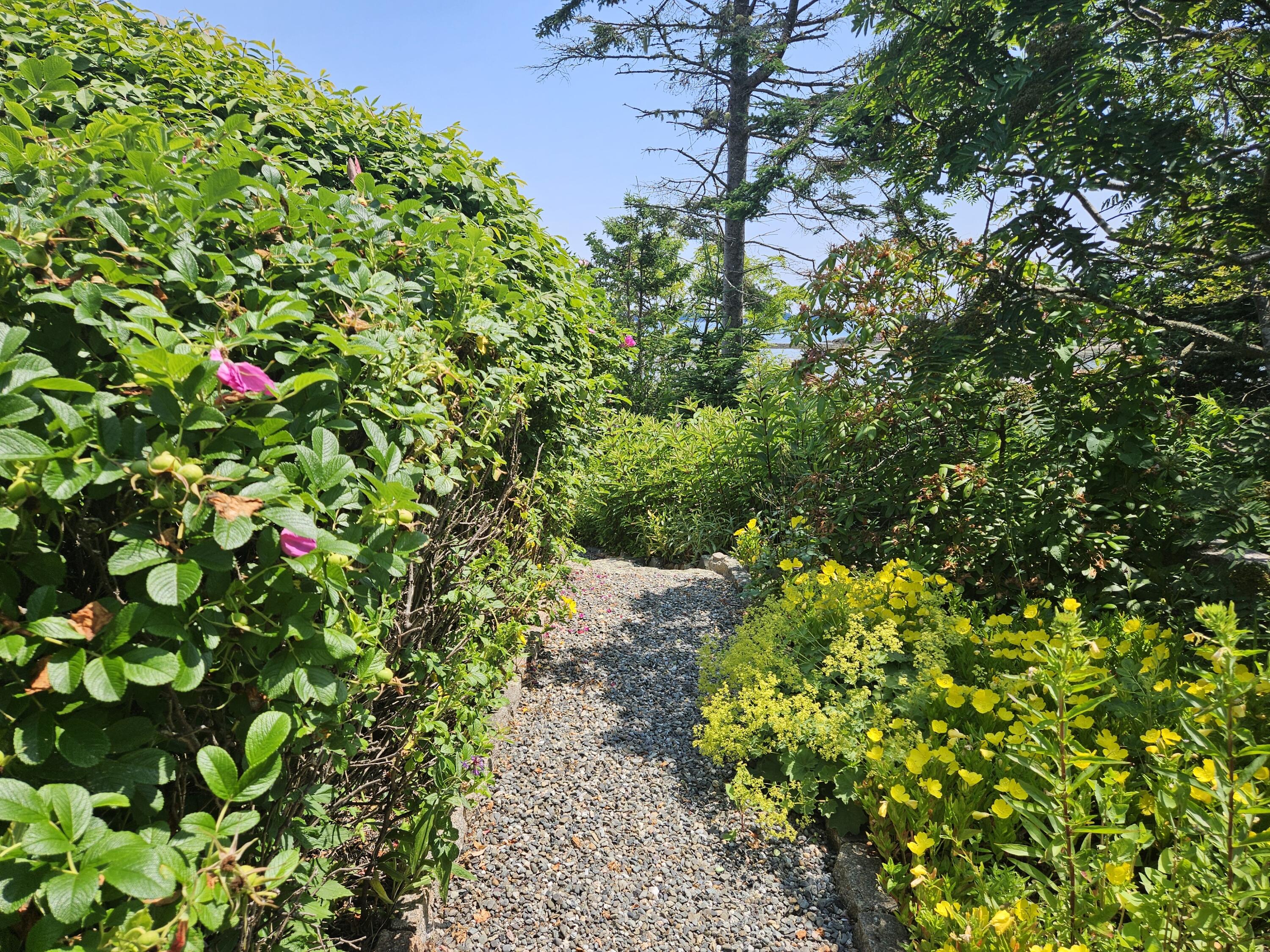 541 Mason Bay Road, Jonesport, ME, 04649