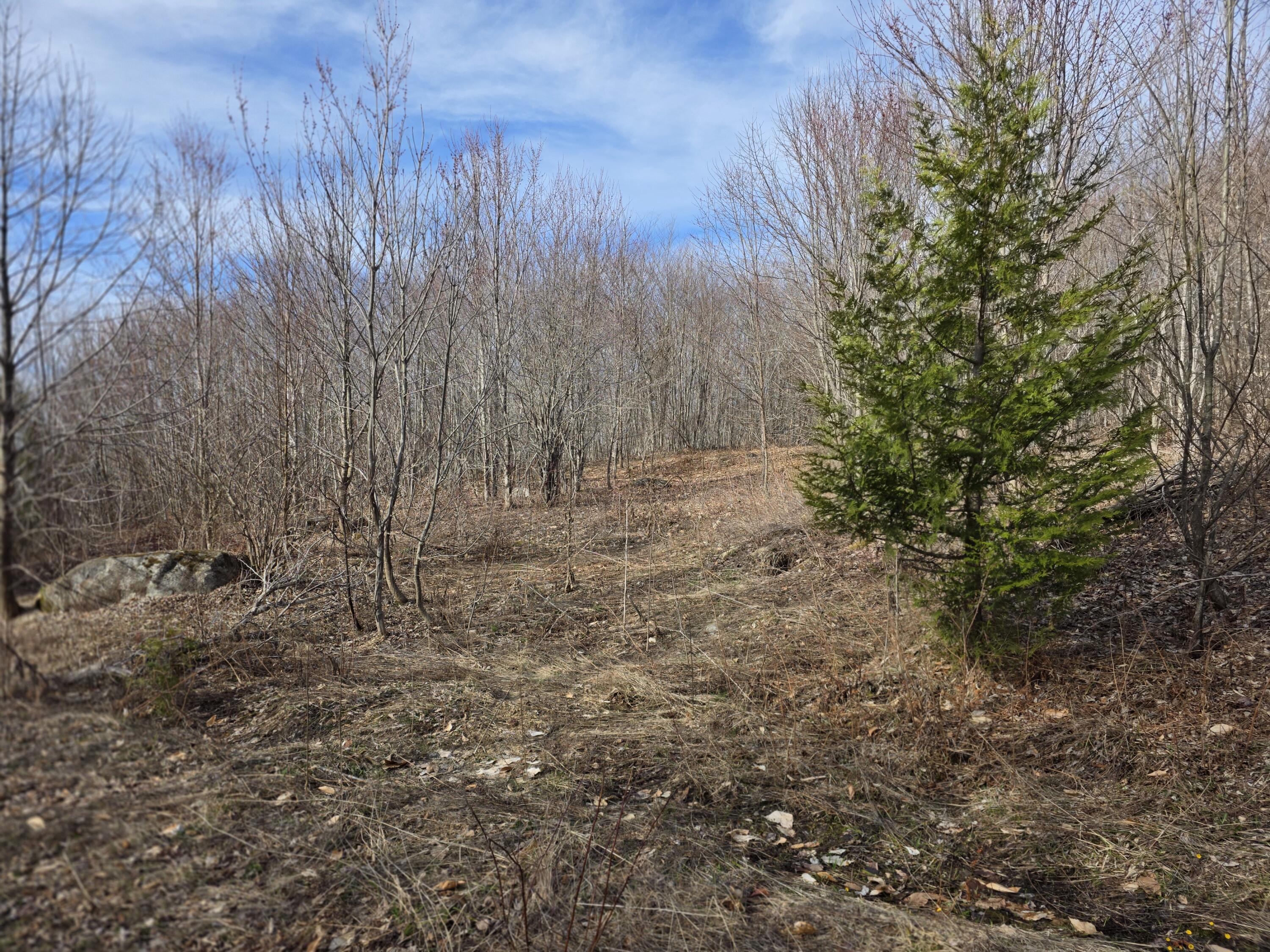 L 10 Moose Ridge Road, Oakfield, ME, 04763