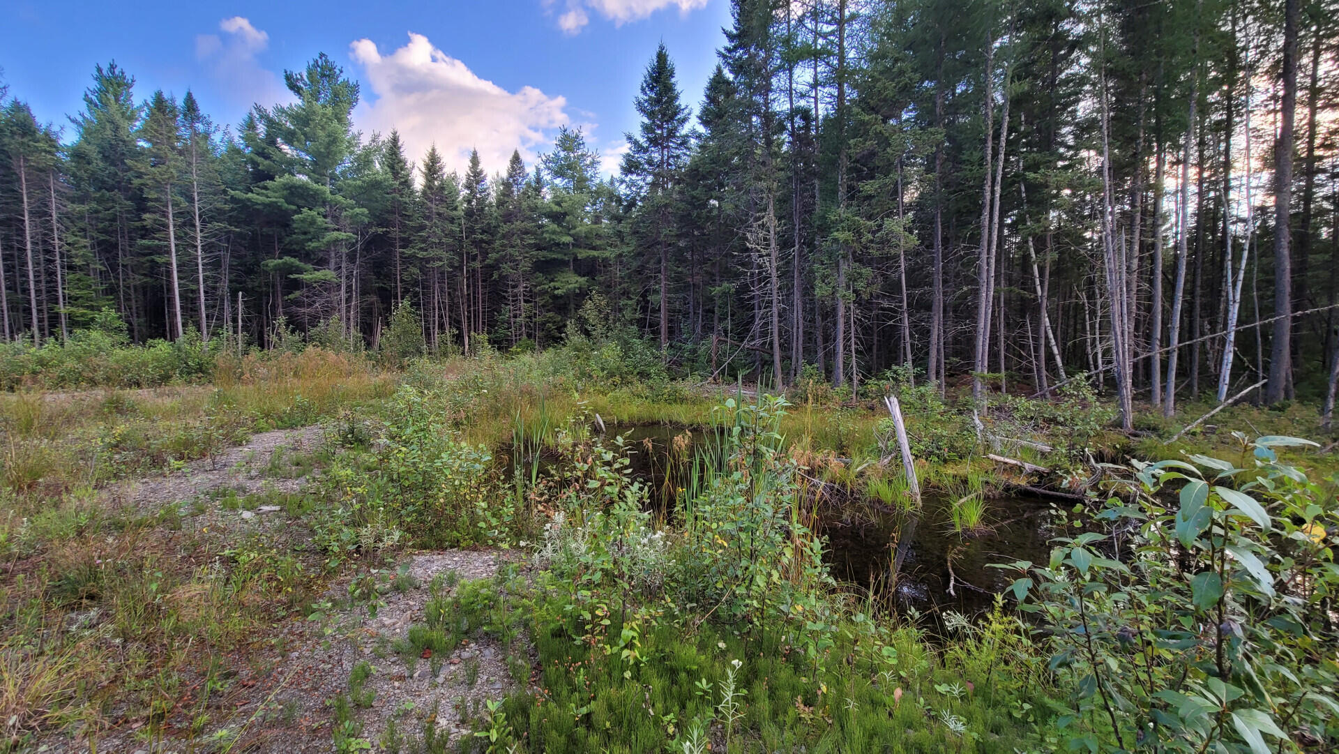 4 Addie Road, Ellsworth, ME, 04605