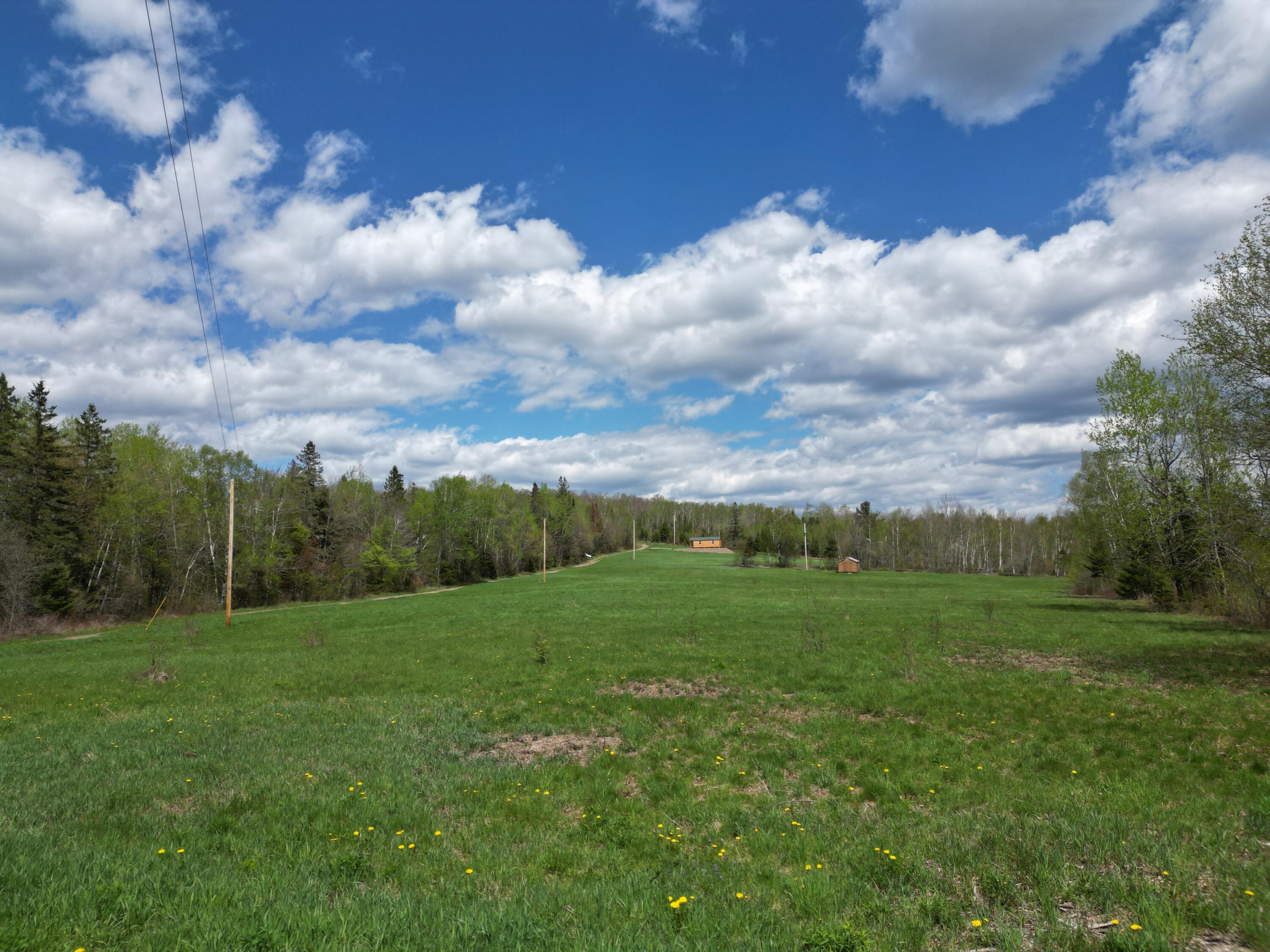 DJI_0445