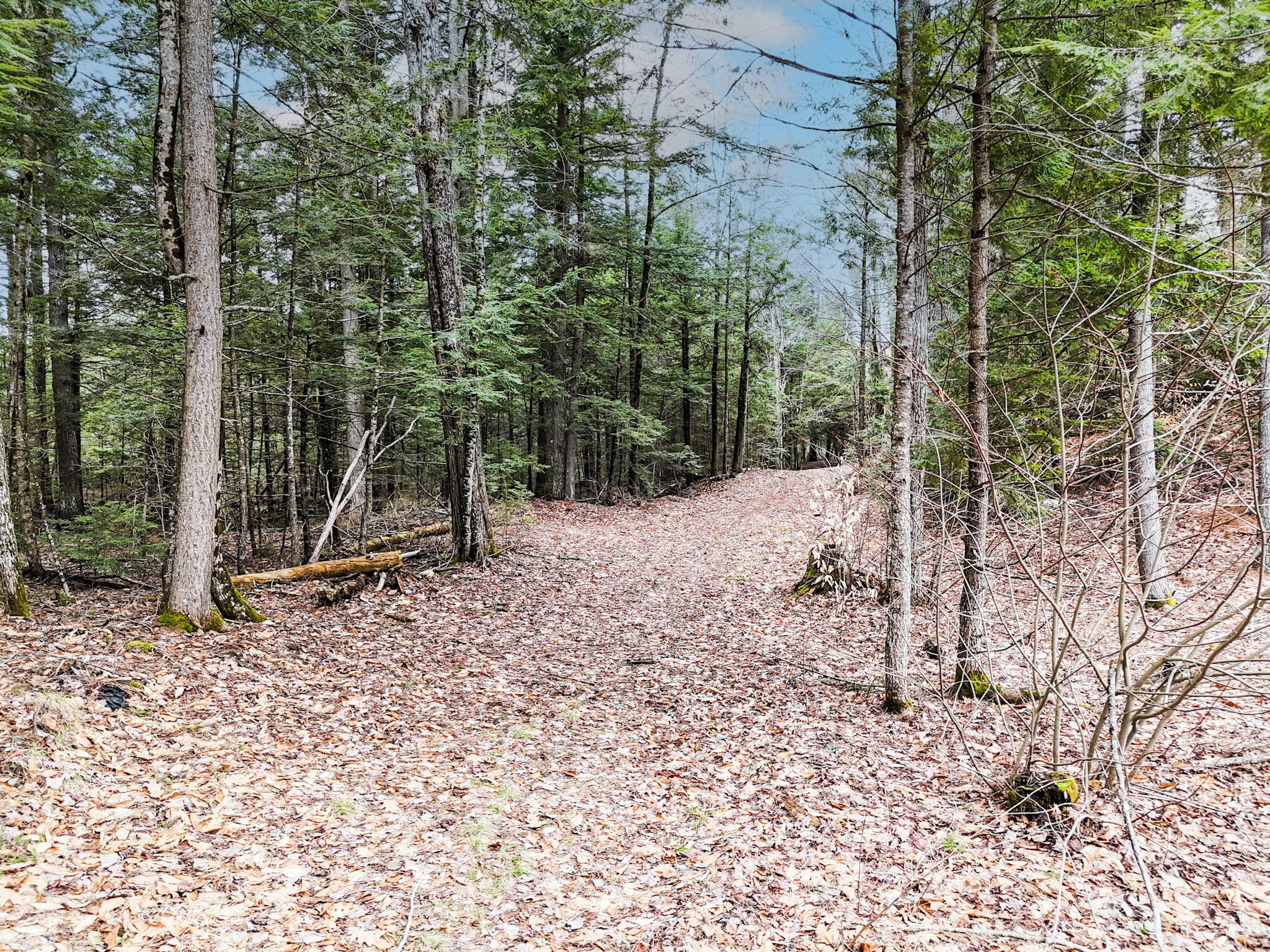 0 Sedgley Road, Greene, ME, 04236