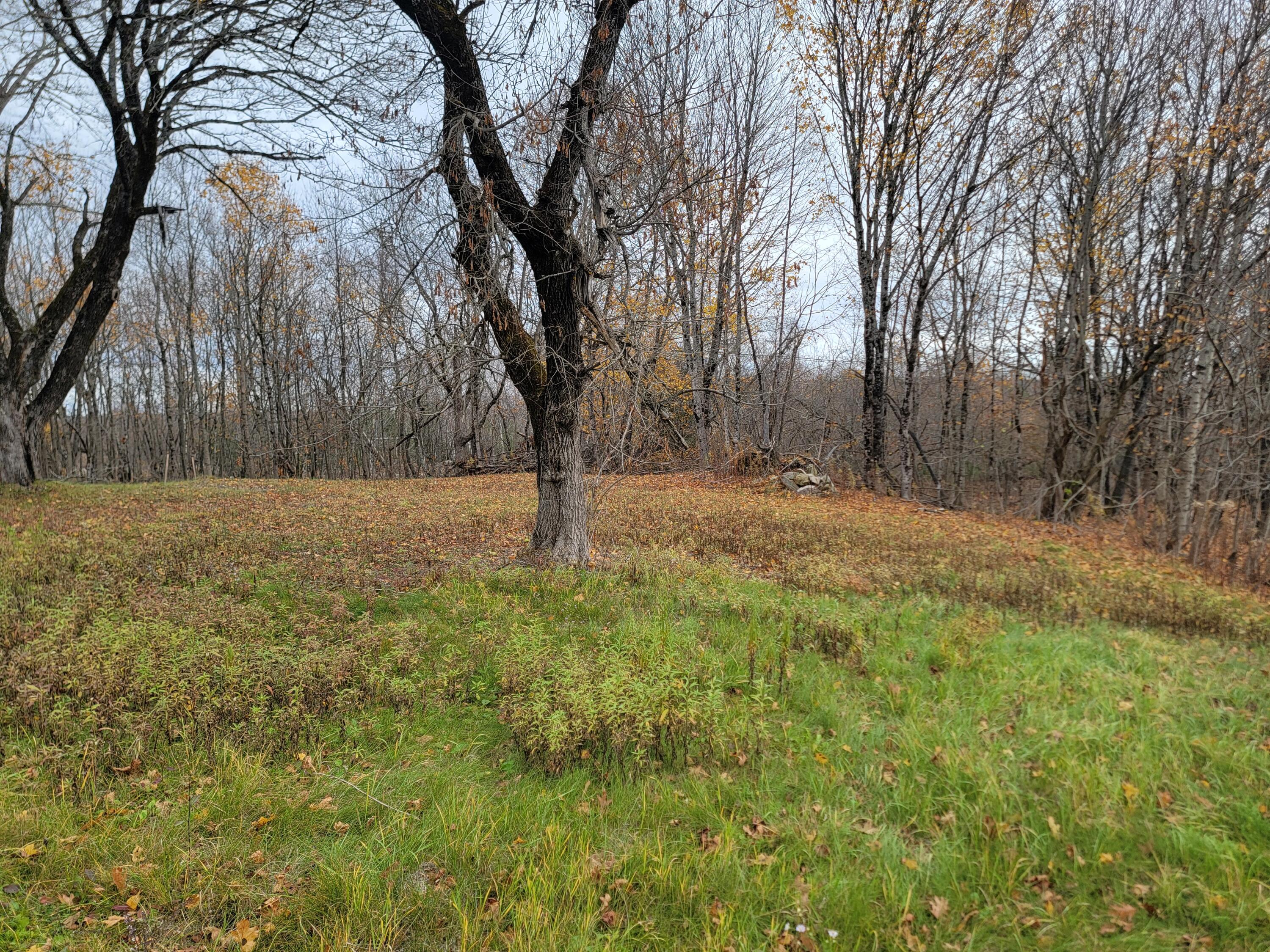 362 Main Street, Baileyville, ME, 04694