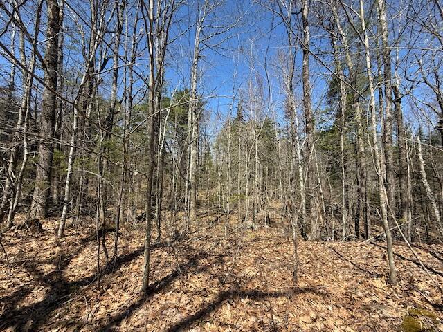 M10, L71 Logan Ridge Road, Chelsea, ME, 04330