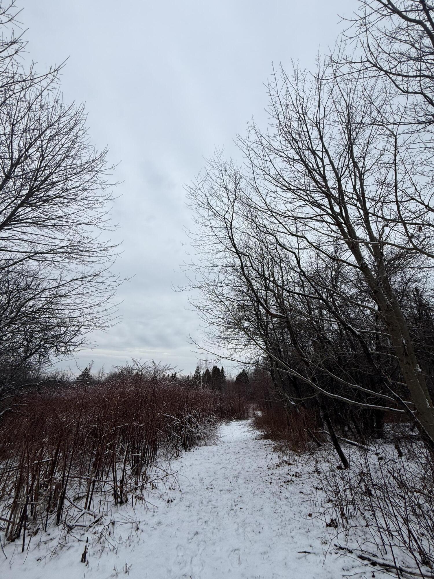 6 Case Drive, Lubec, ME, 04652