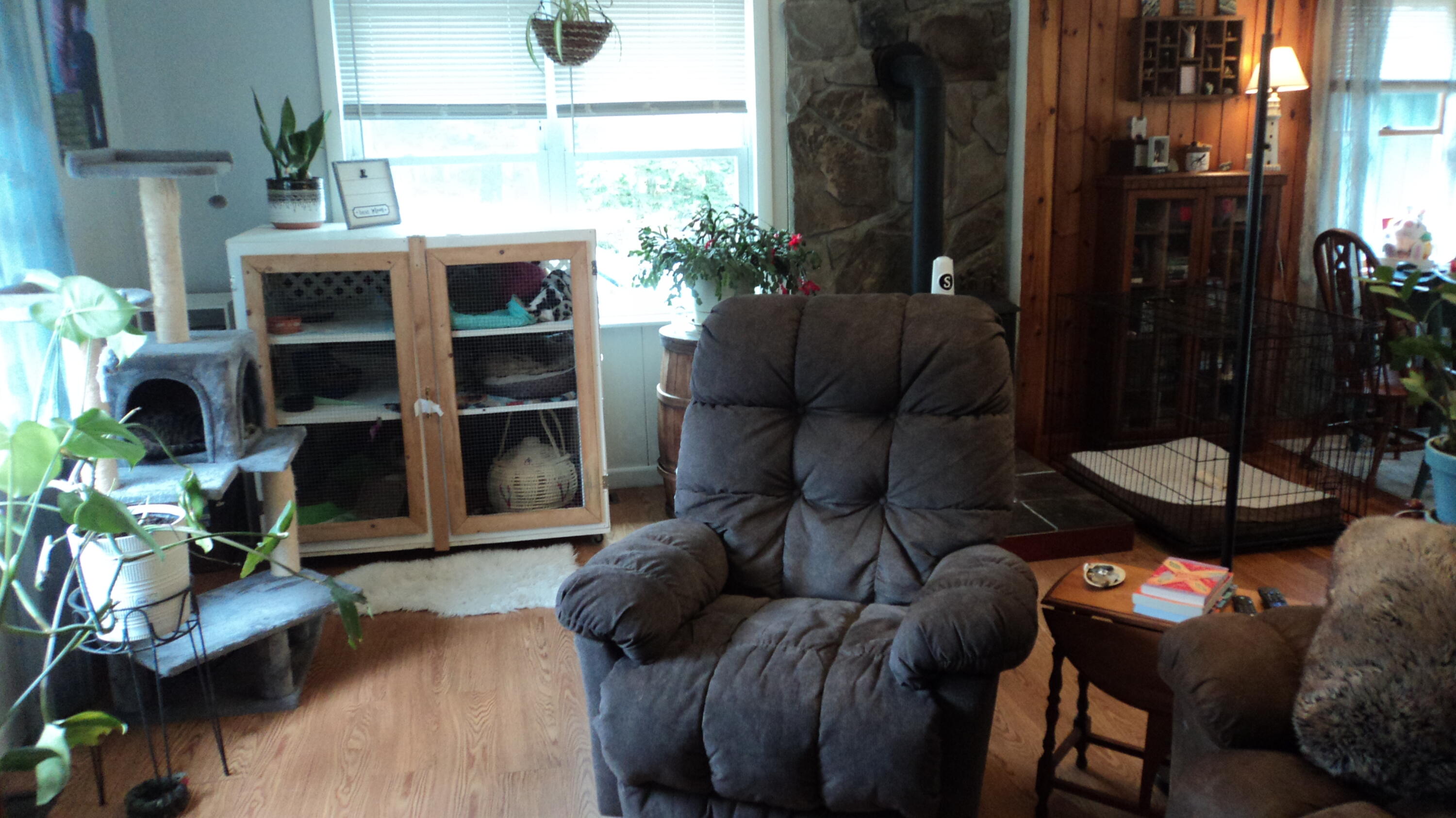 383 Lily Road, Dedham, ME 04429 — photo 8