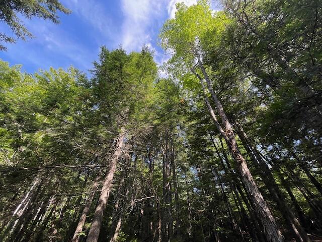 69K Christmas Cove Road, Crawford, ME, 04694