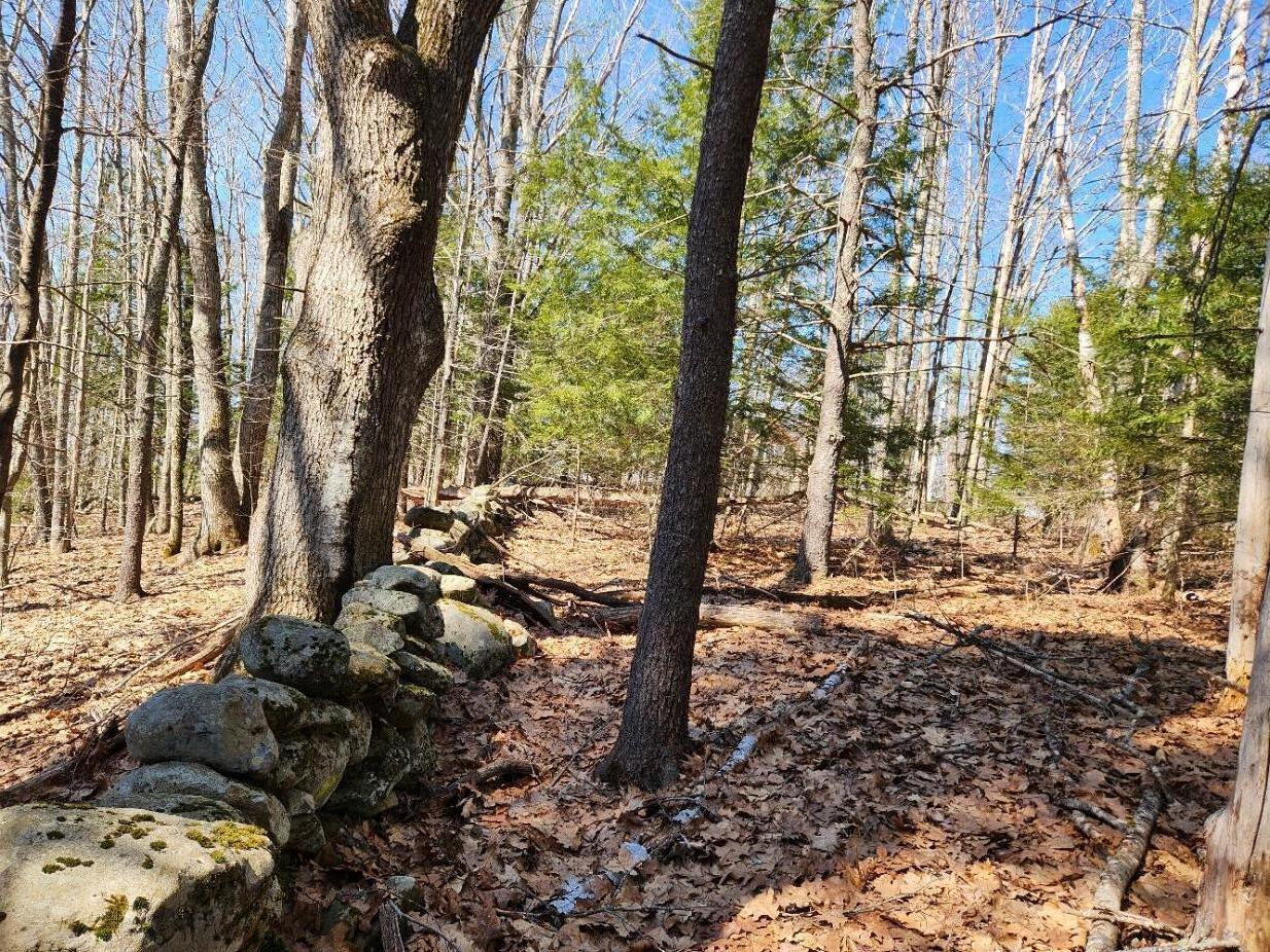 24 Palmer Hill Road, Nobleboro, ME, 04555