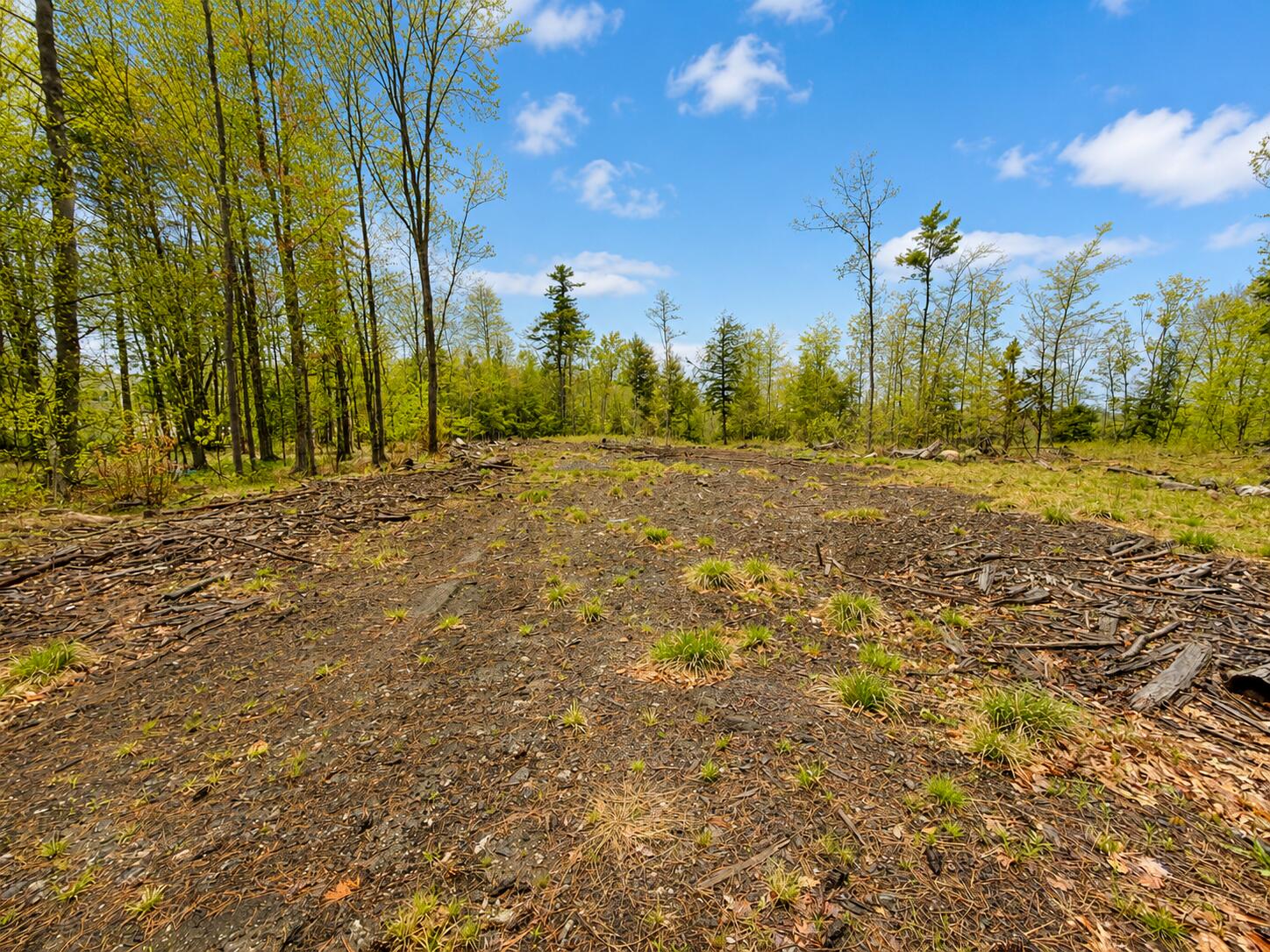 Photo of Map13Lot30 Clarks Bridge Road Waterboro ME 04061