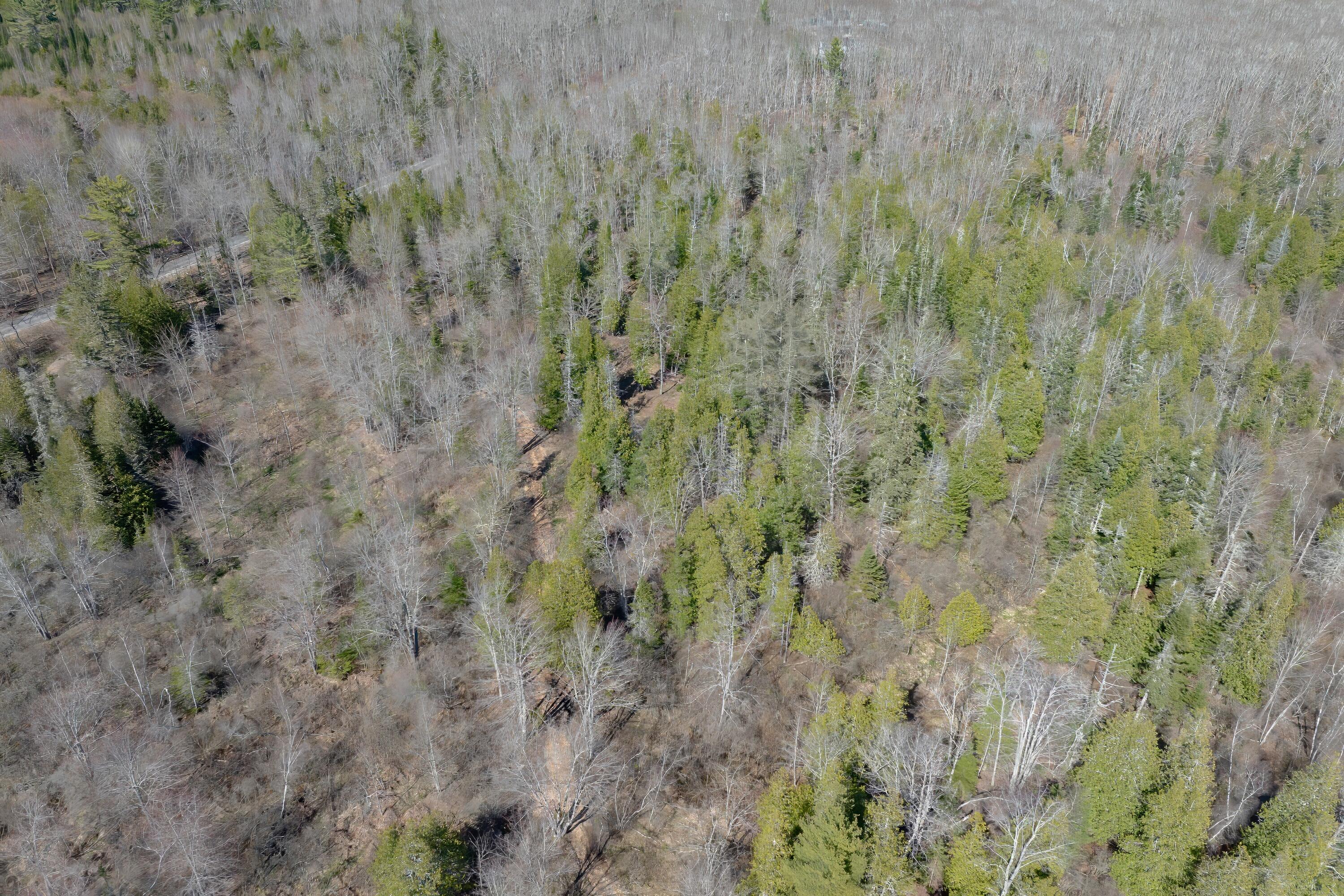 0 Kingdom Road, Blue Hill, ME, 04614