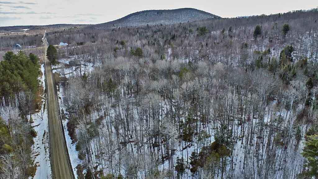 Lot 11 Drews Mill Road, Linneus, ME, 04730