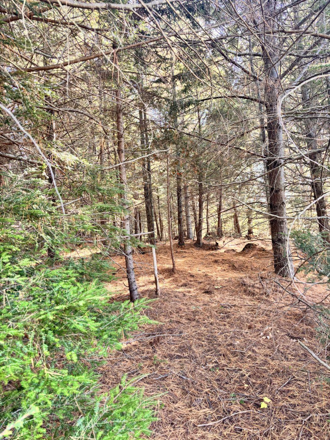 150 Bowden Point Road, Prospect, ME, 04981