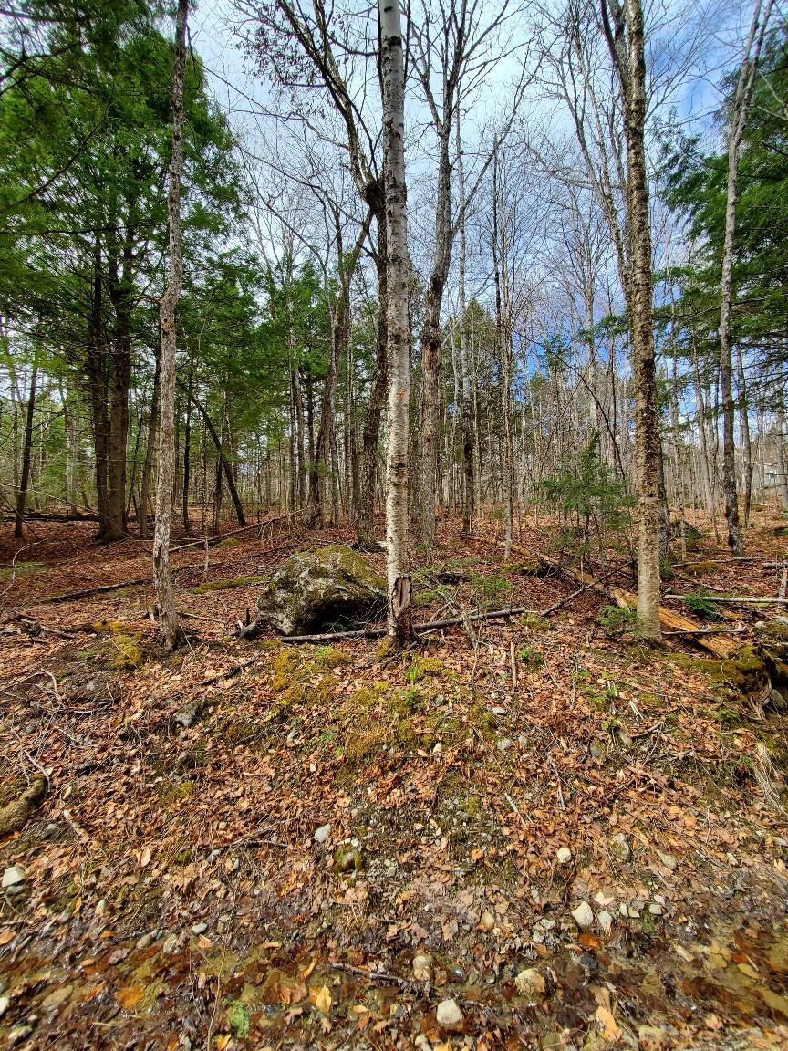 0 Sandy Beach Road, Danforth, ME, 04424