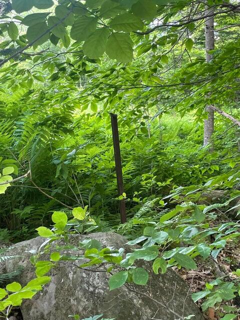 80 Gammon Road, Peru, ME, 04290