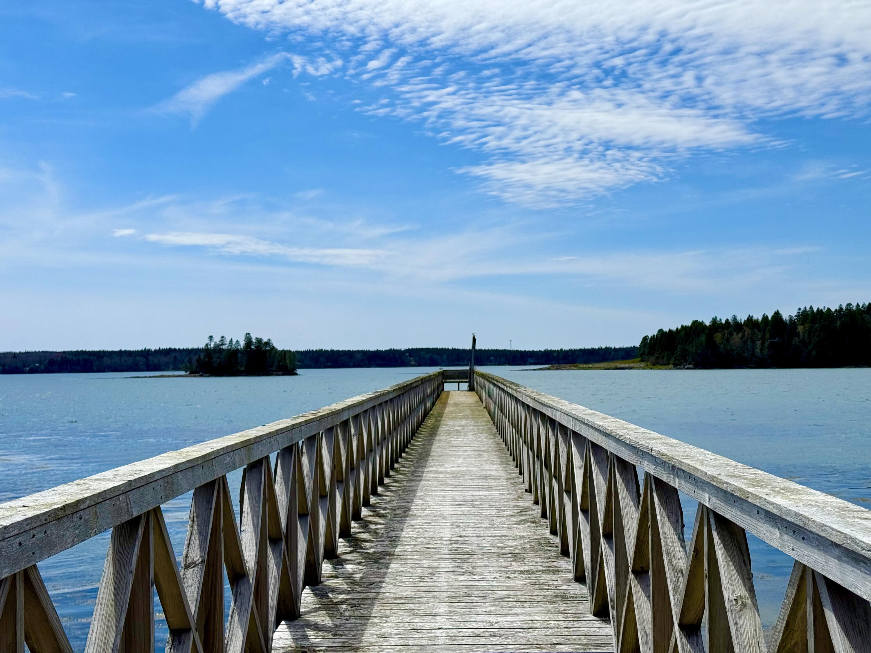 Lot 15 Collins Cove Road, Machiasport, ME, 04655