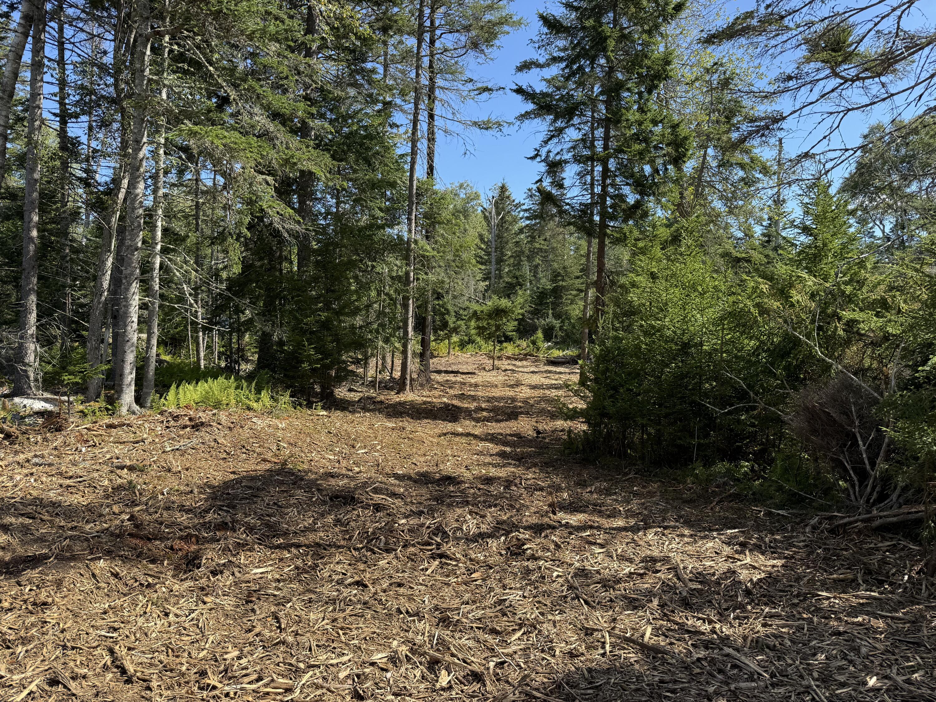 1552 Turtle Head Road, Islesboro, ME, 04848