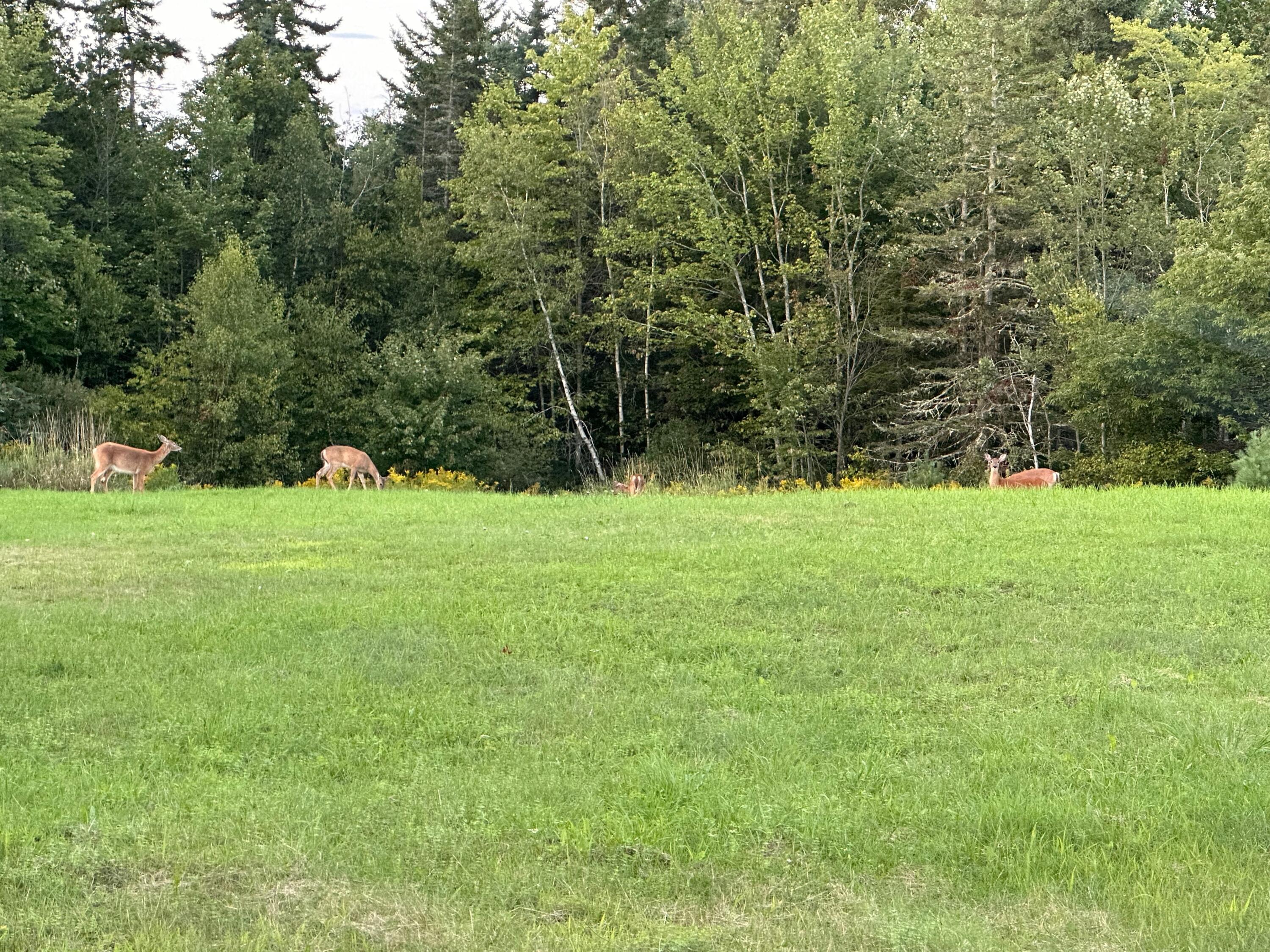 42 Fowler Road, Orrington, ME, 04474