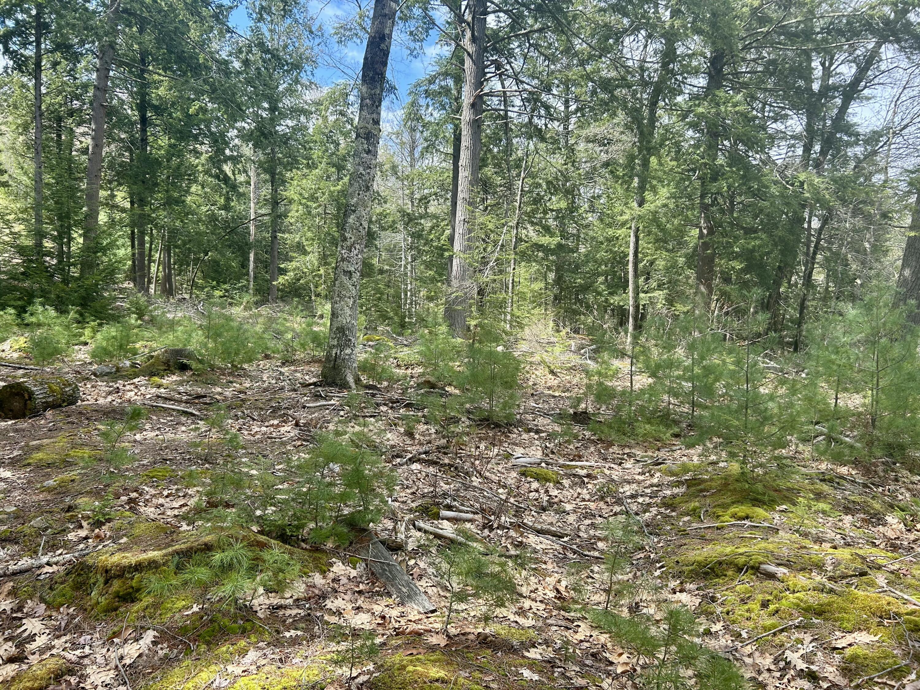 M3 L9 Winthrop Center Road, Winthrop, ME, 04364