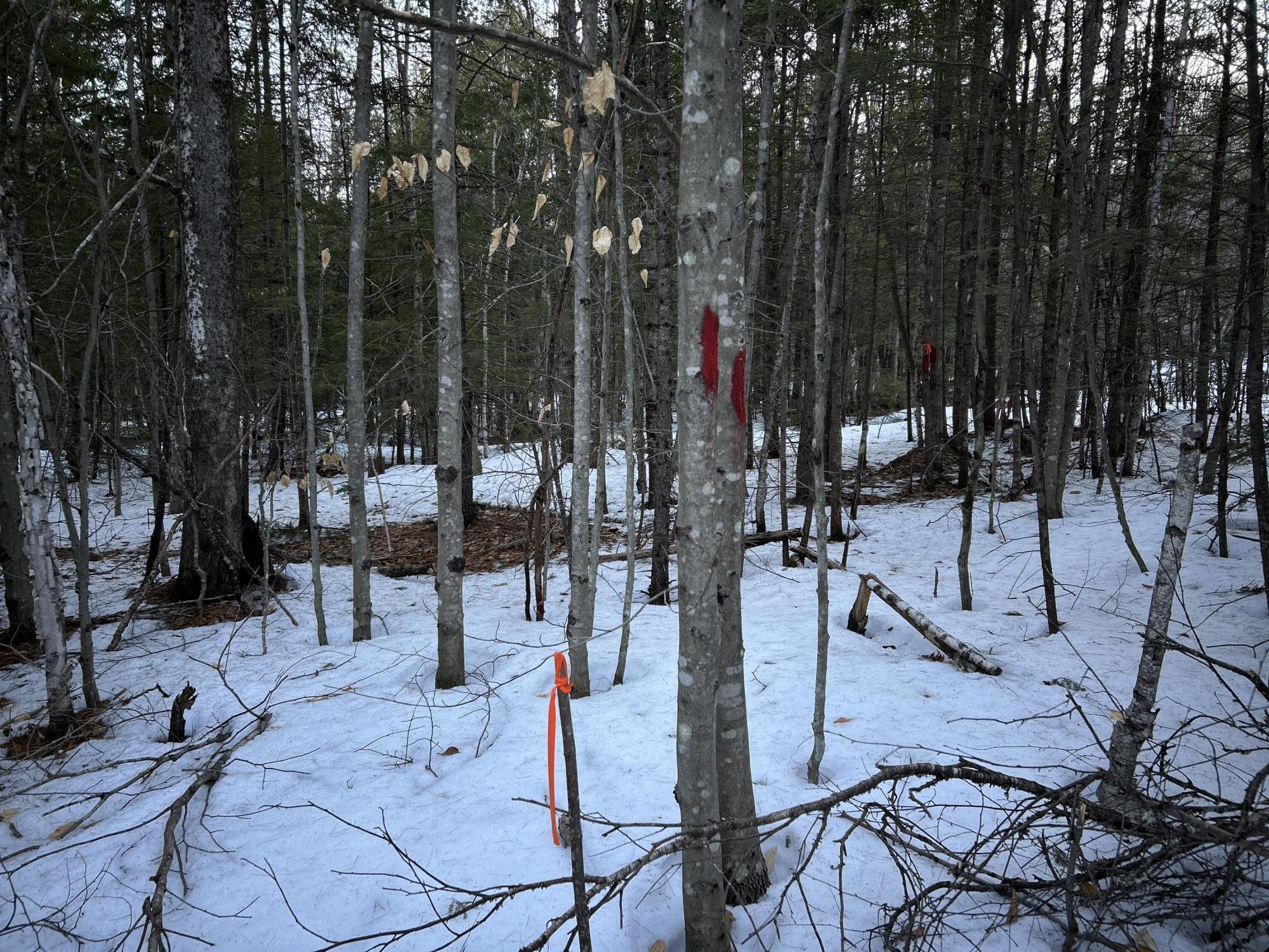 Map13Lot11 Field View Road, Fryeburg, ME, 04037