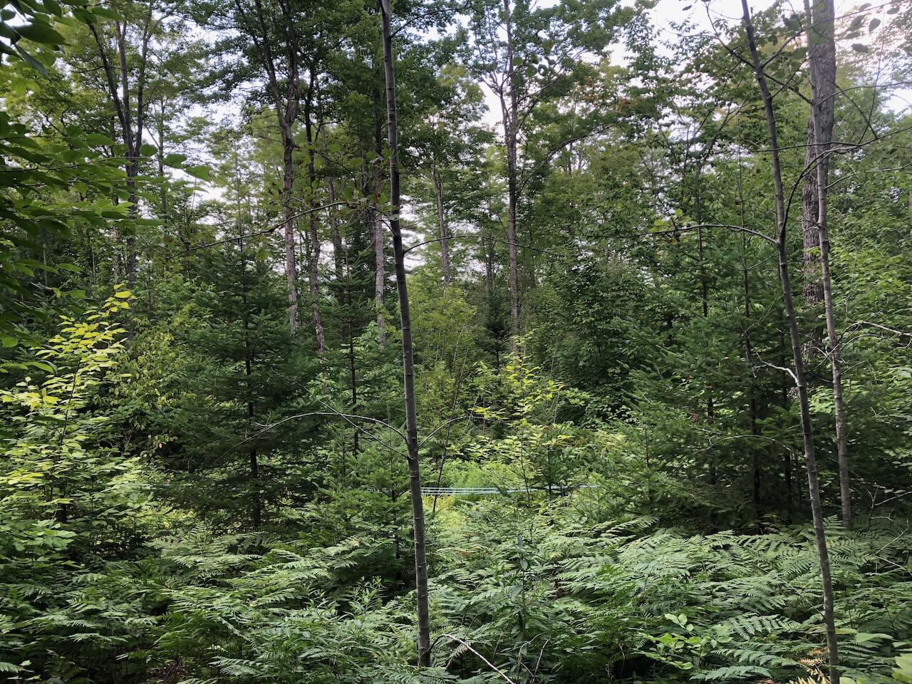 06 Swett Brook Lane, Weld, ME, 04285