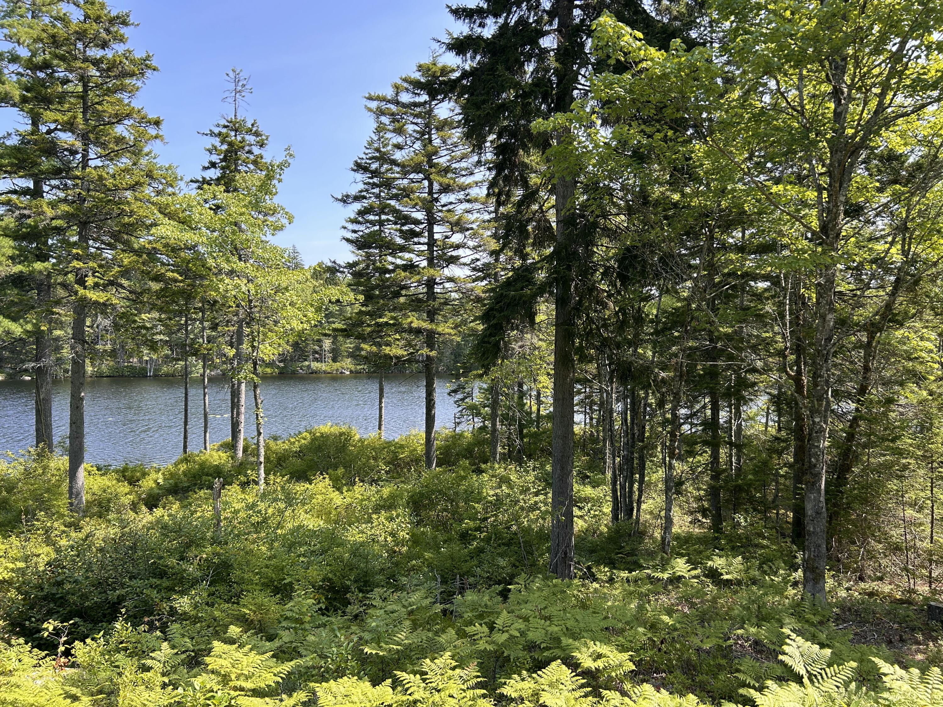 31 Sportsmen's Lodge Road, Marshfield, ME, 04654