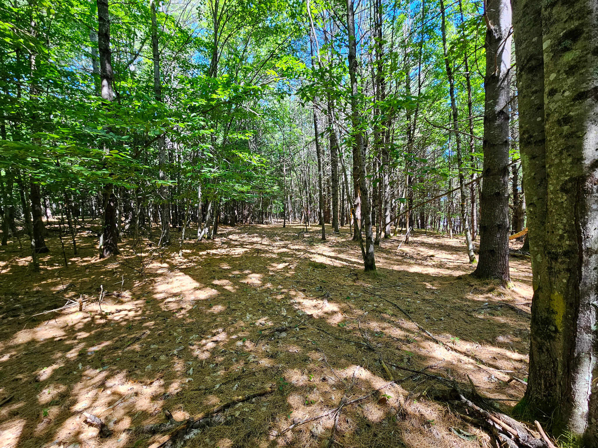 11-31-C Stone Hill Road, Farmington, ME, 04938