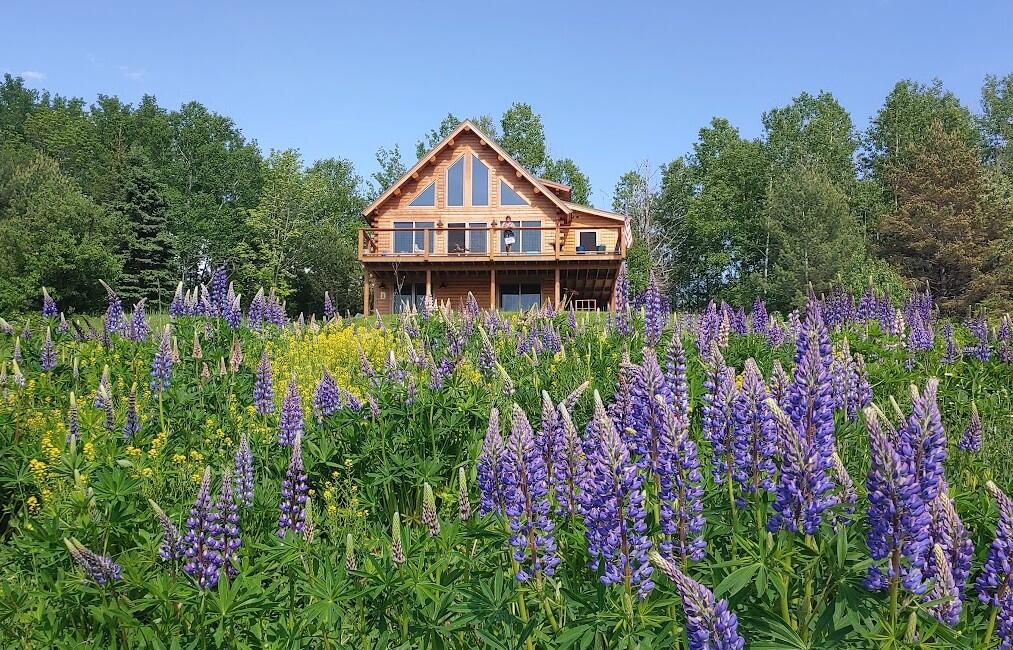 Ski Properties For Sale