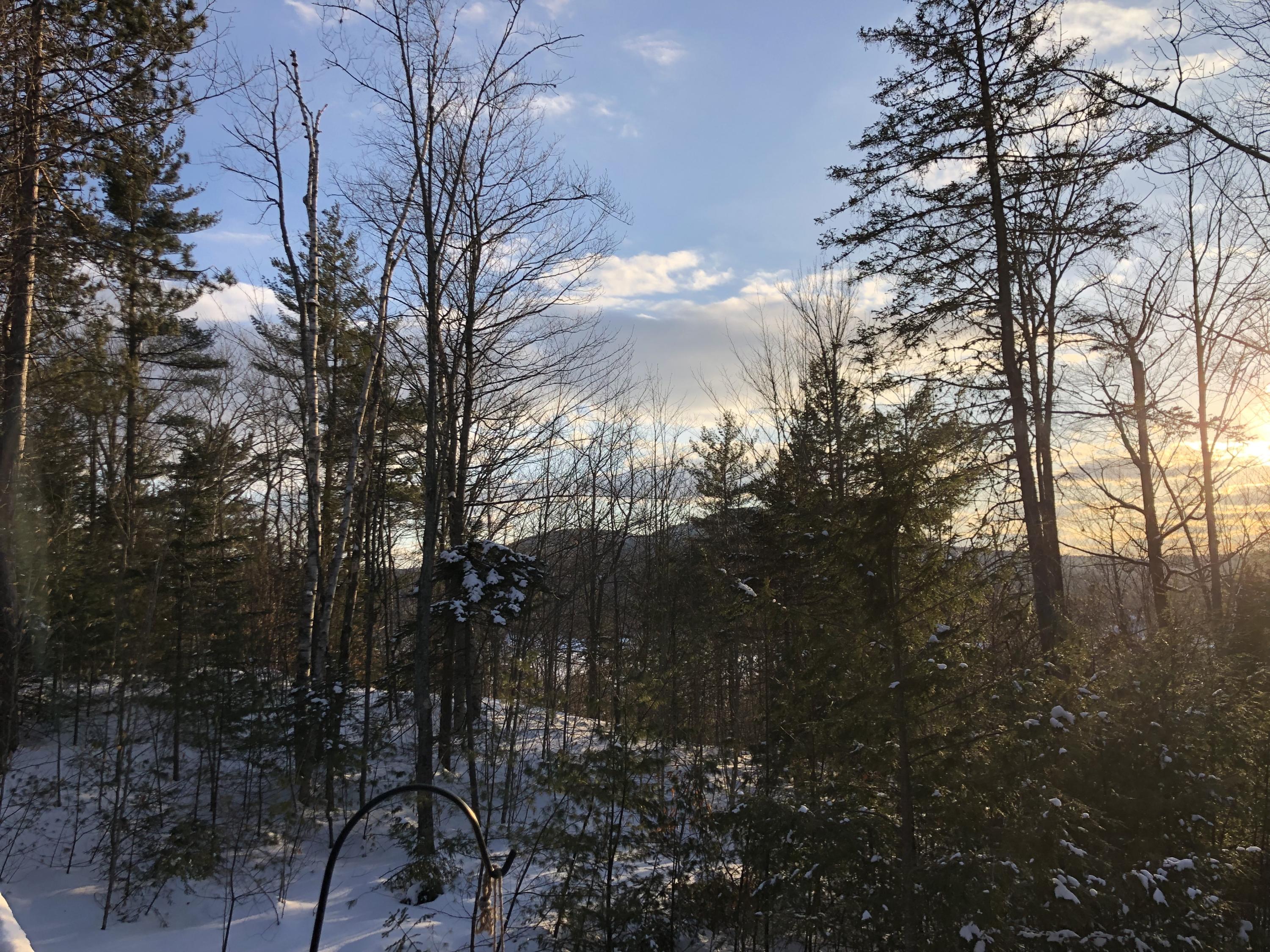20 Hickory Drive, Woodstock, ME, 04219-2003