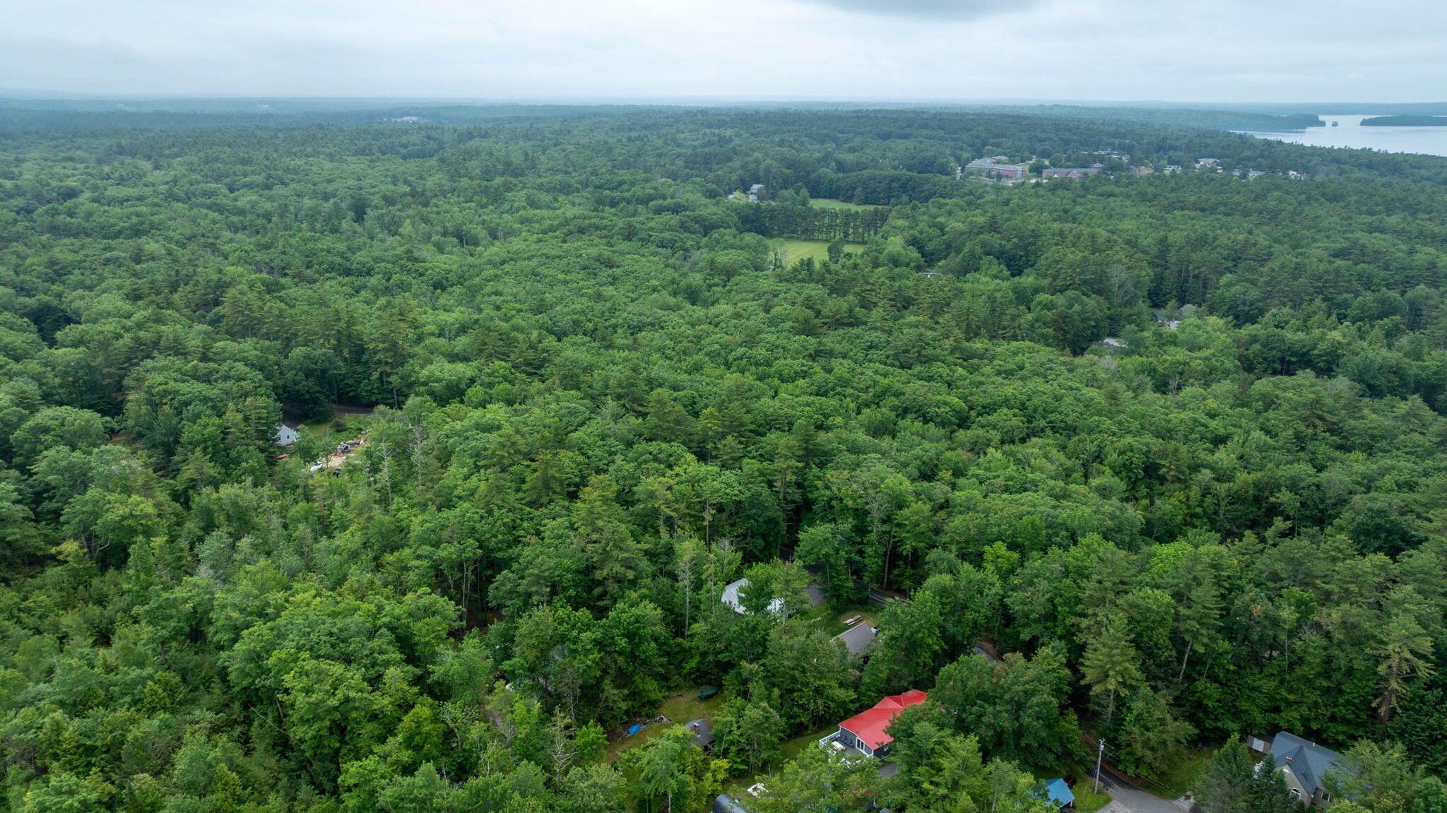 41 Shaw Acres Road