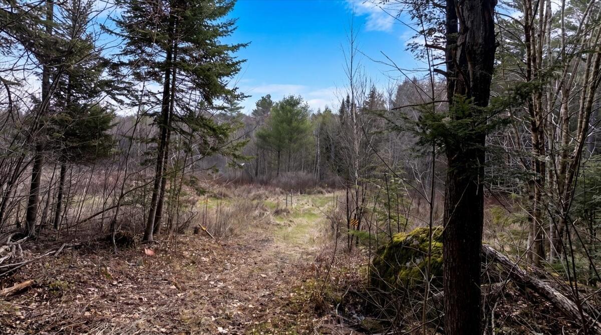 0 French Hill Road, Albany Twp, ME, 04217