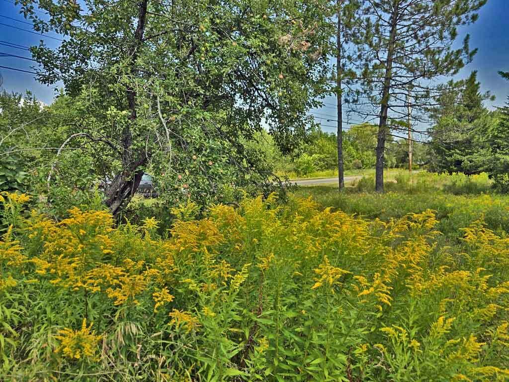 1020 County Road, New Limerick, ME, 04761