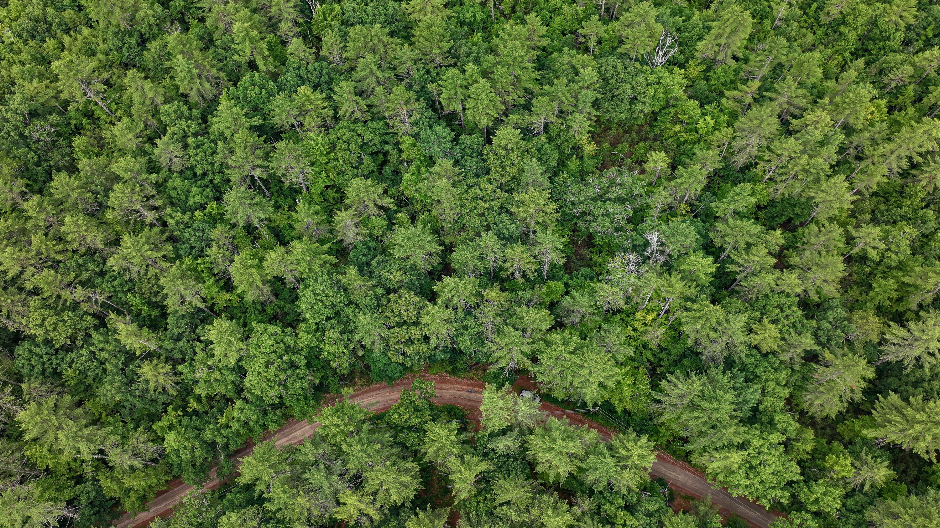 62-B Long Pond Drive, Denmark, ME, 04022