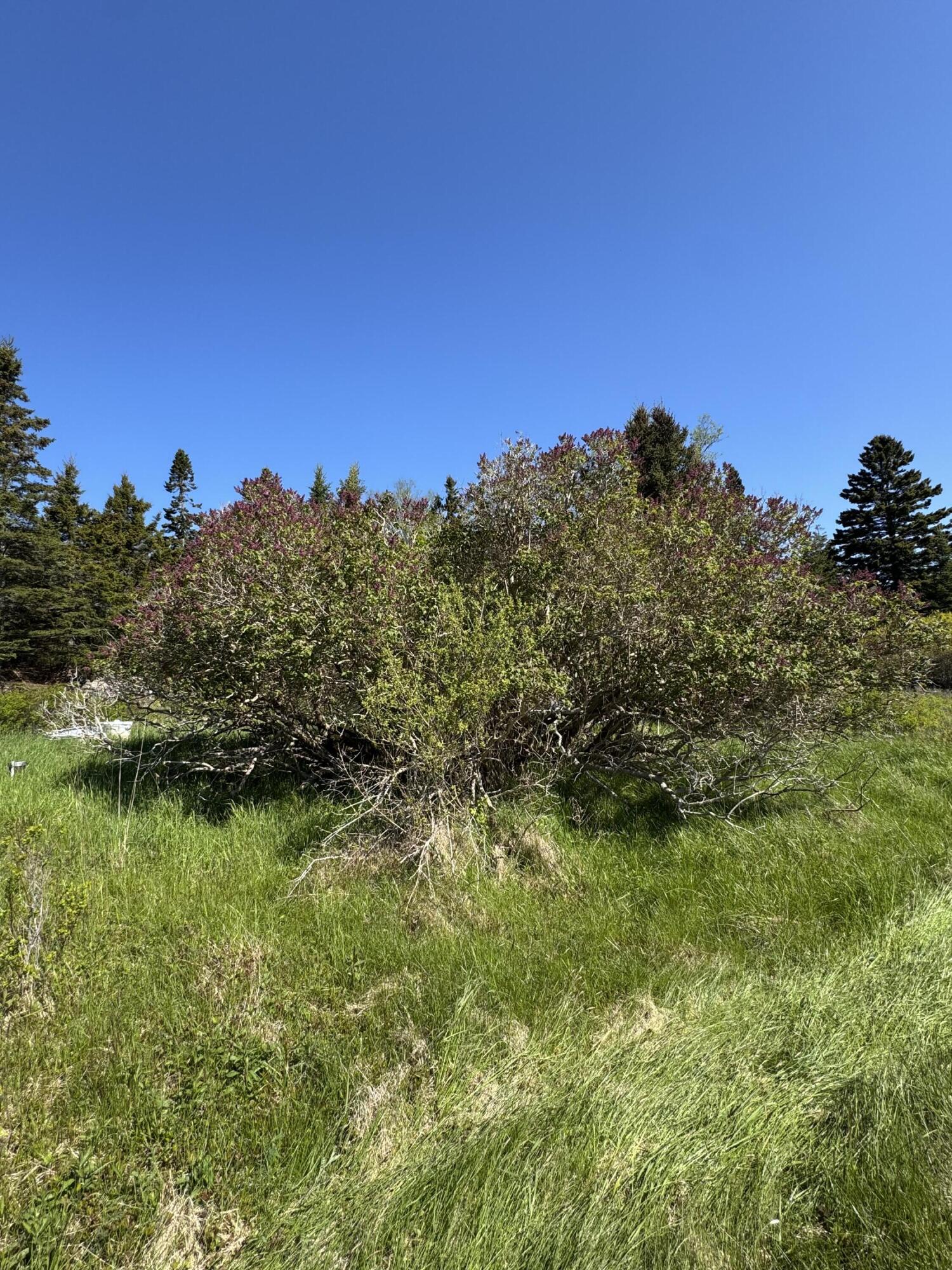 Lot UNIT&nbsp;5 George Wright Road, Vinalhaven, ME, 04863