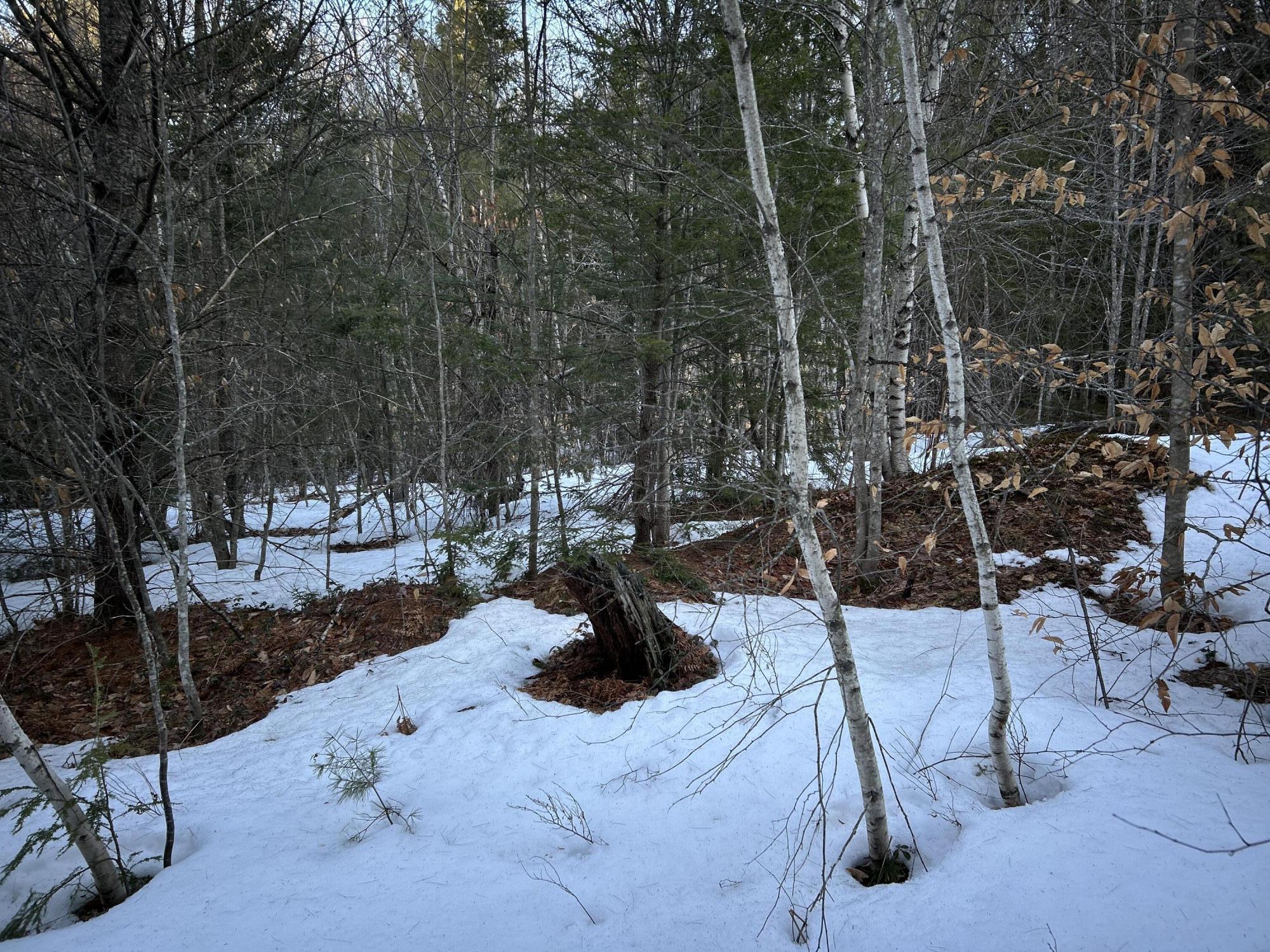 Map13Lot11 Field View Road, Fryeburg, ME, 04037