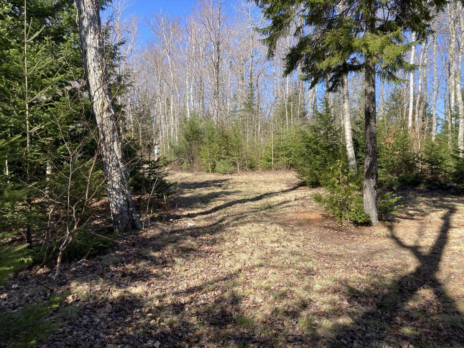 242 Tannery Brook Road, Mariaville, ME, 04605