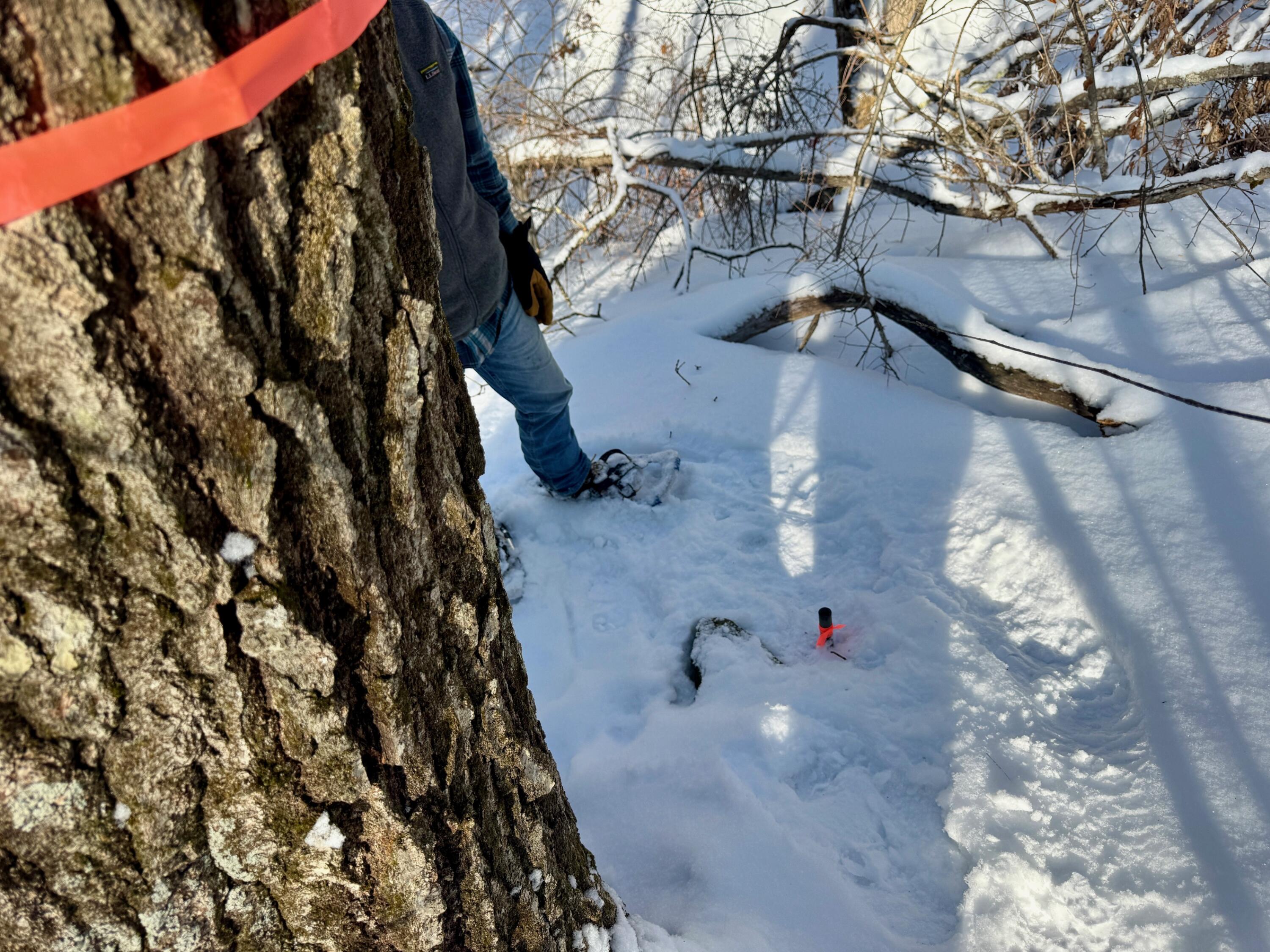 TBD Swans Falls Road UNIT Lot A, Fryeburg, ME, 04037