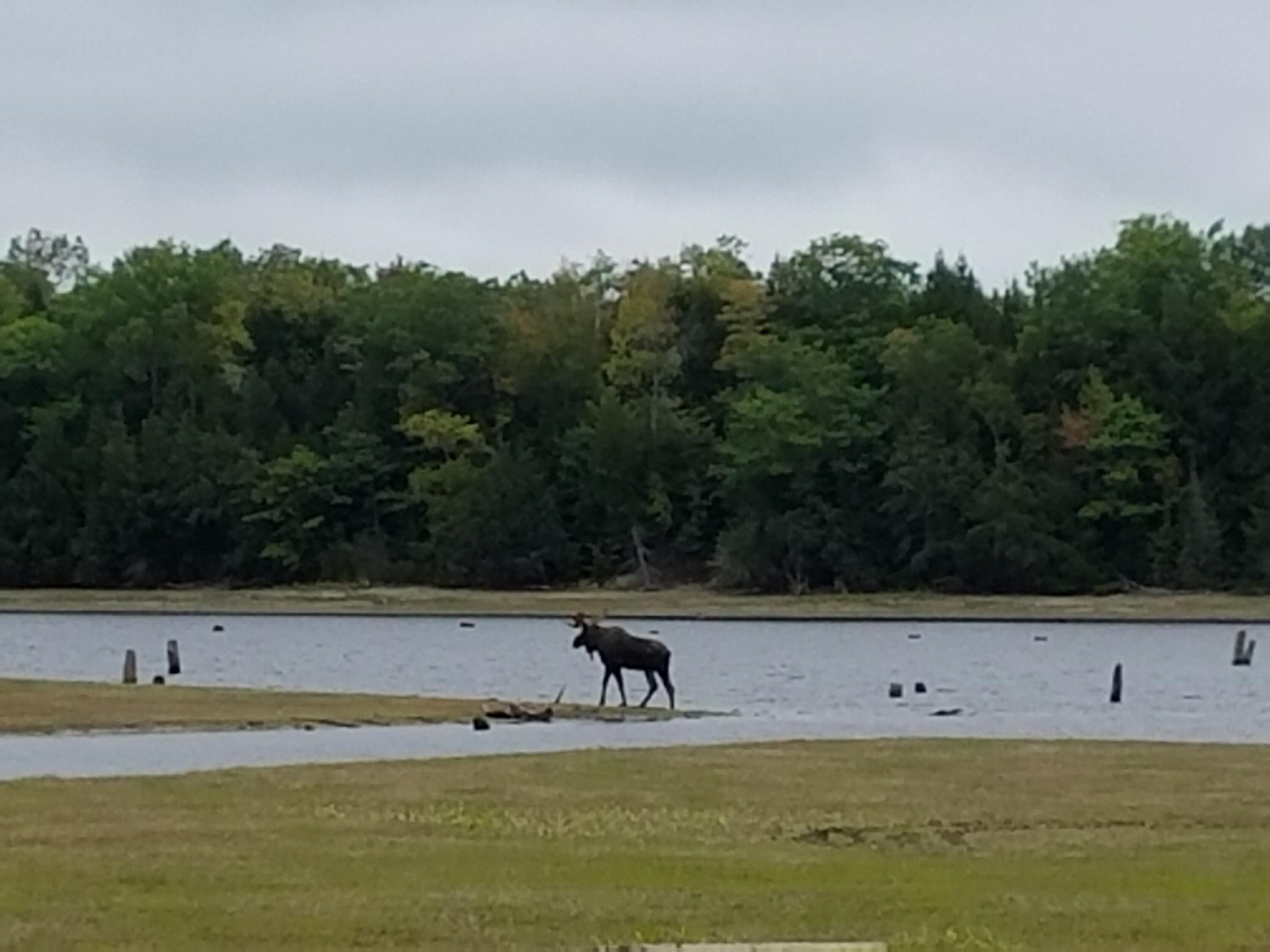 95 Silsby Road, Mariaville, ME, 04605