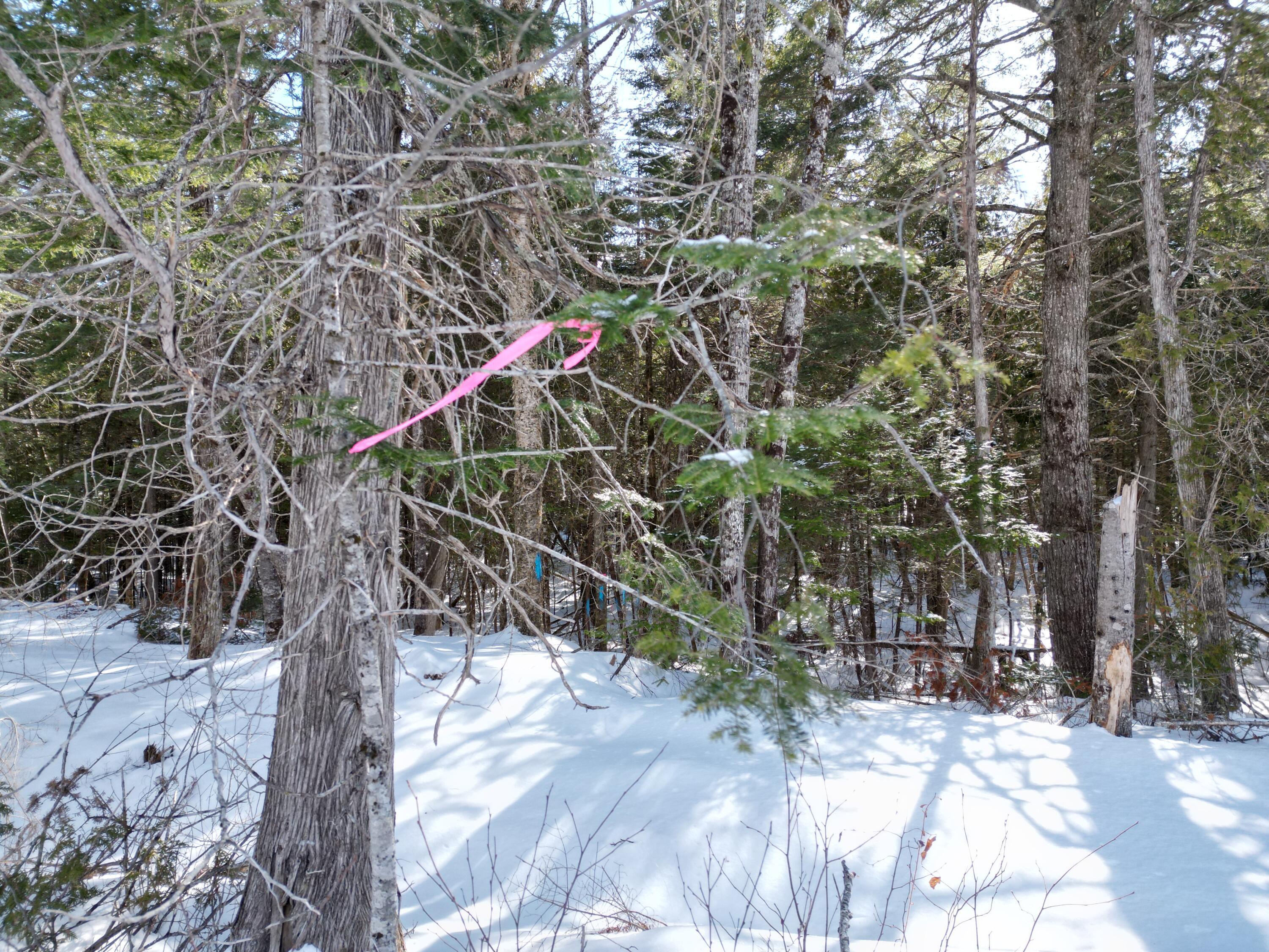 Lot 15-023 Intervale Road, Bethel, ME, 04217