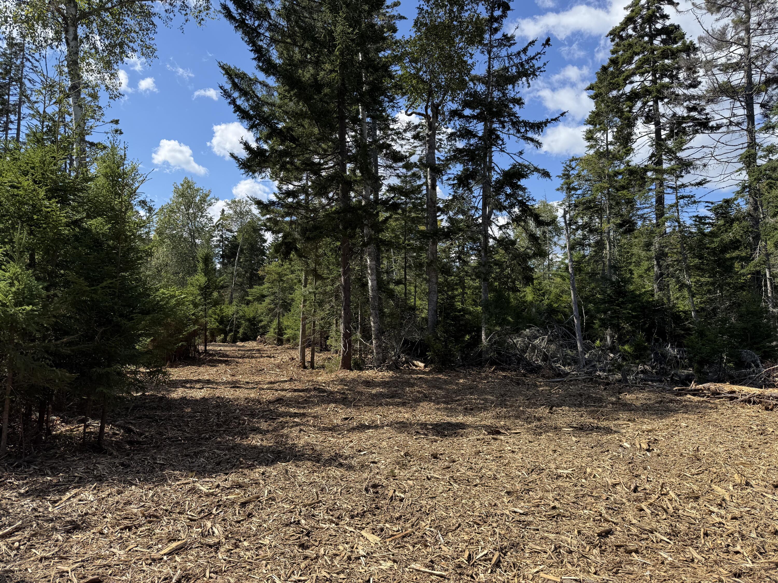 1552 Turtle Head Road, Islesboro, ME, 04848