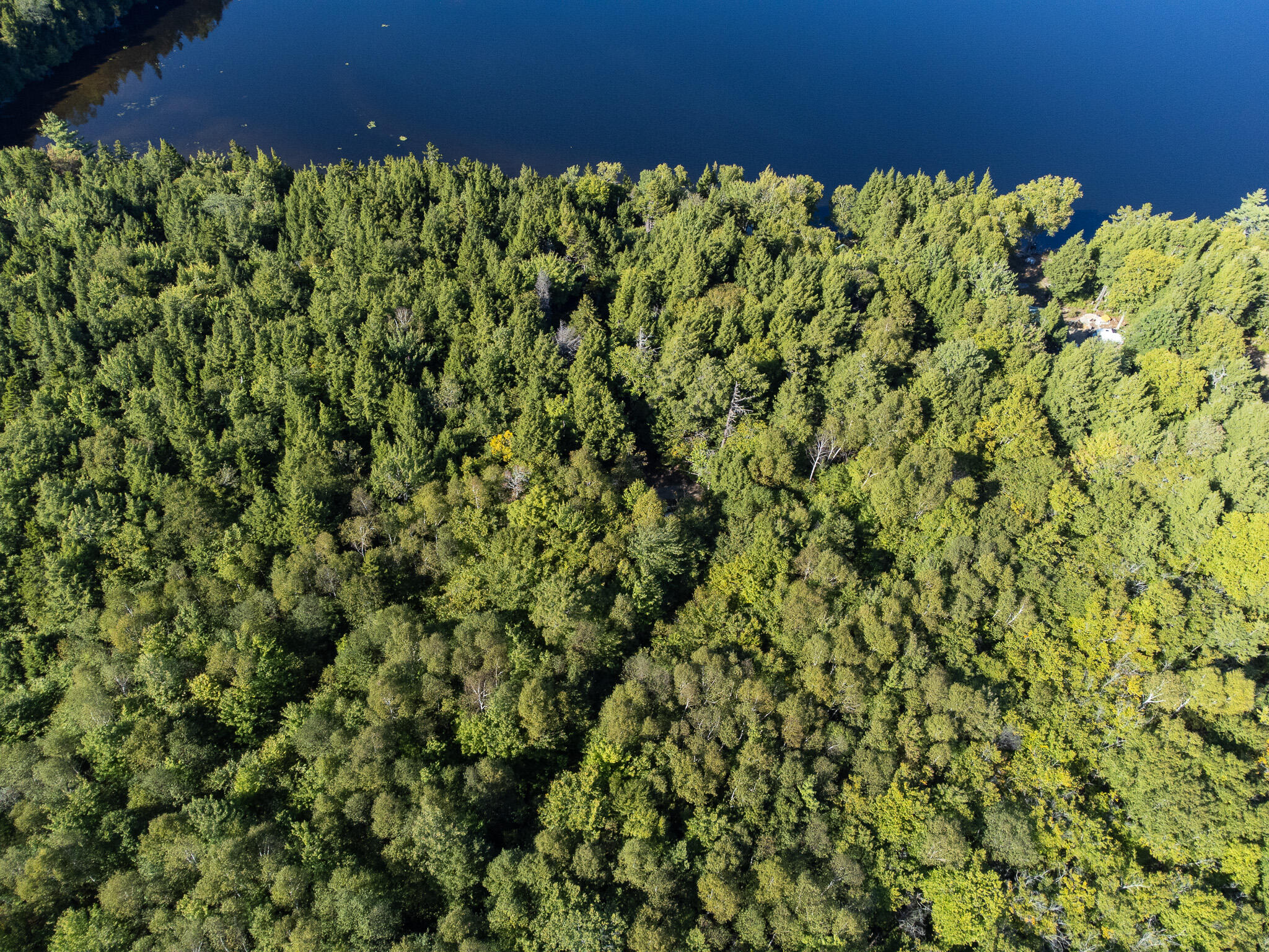 T1R8 WELS Millinocket Lake, Millinocket, ME, 04462