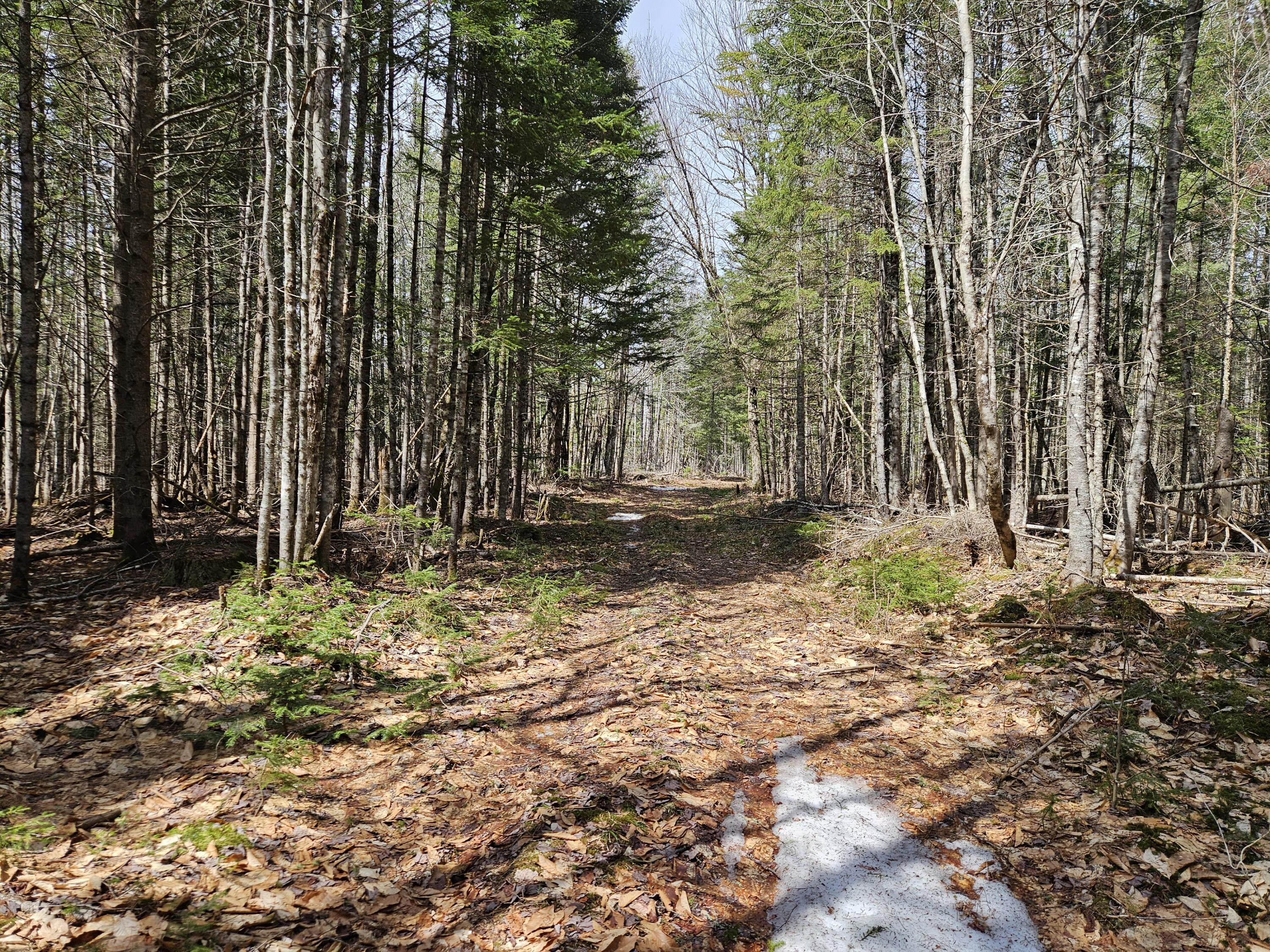 414 Taylor Hill Road, New Vineyard, ME, 04956