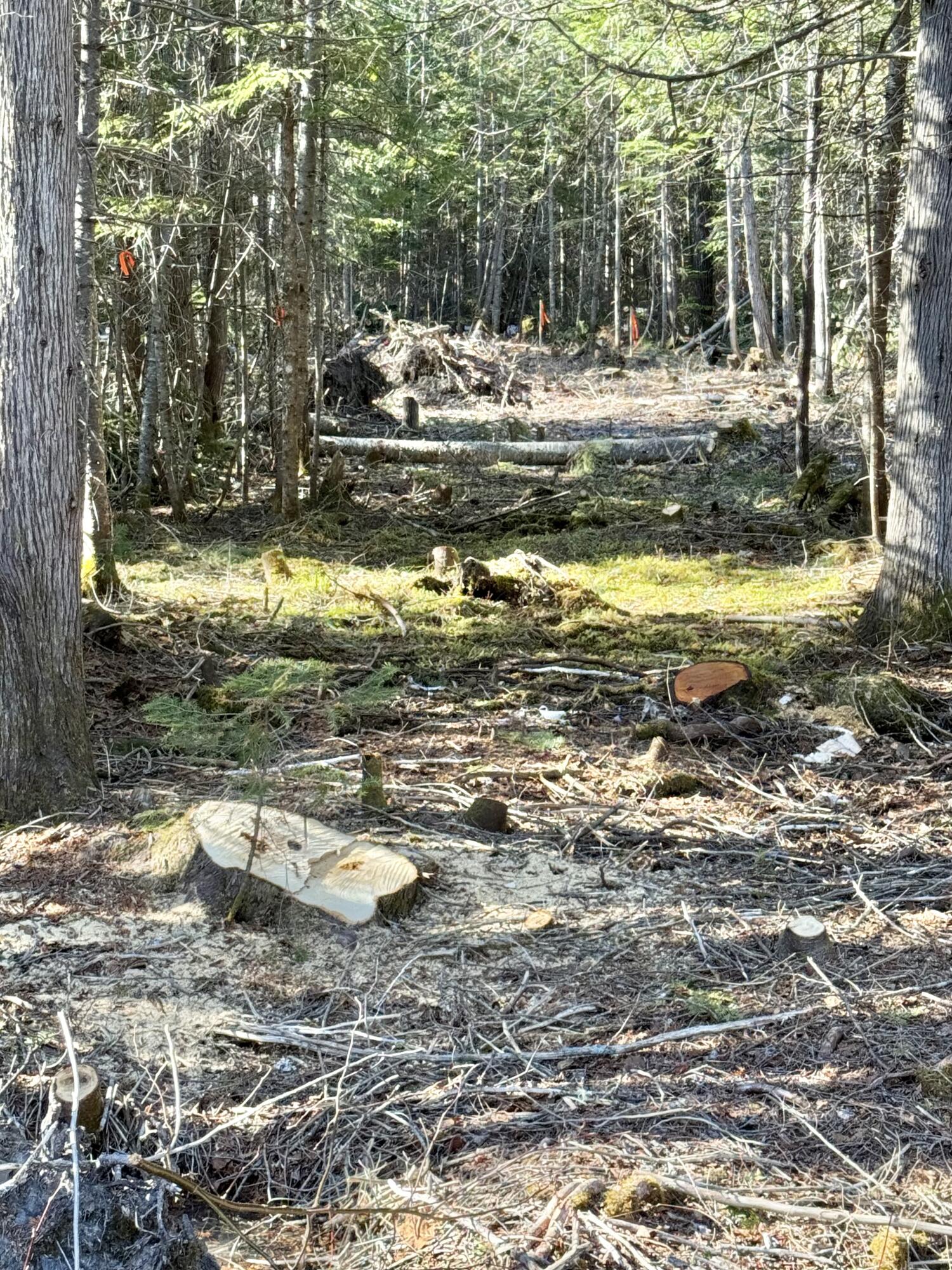 112 Sinclair Road, Sinclair, ME, 04779