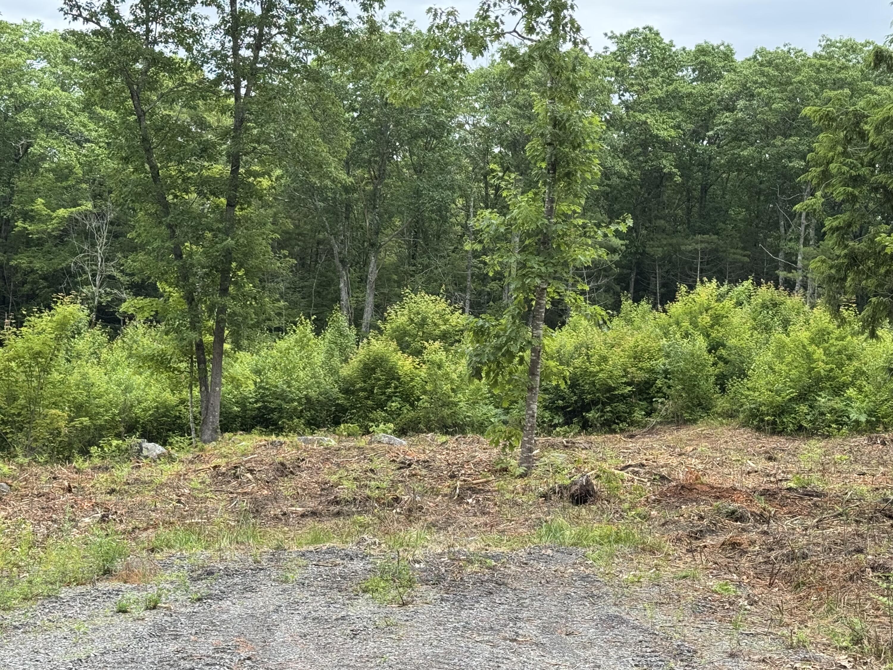 Lot 4 Cobbo Lane, West Gardiner, ME, 04345