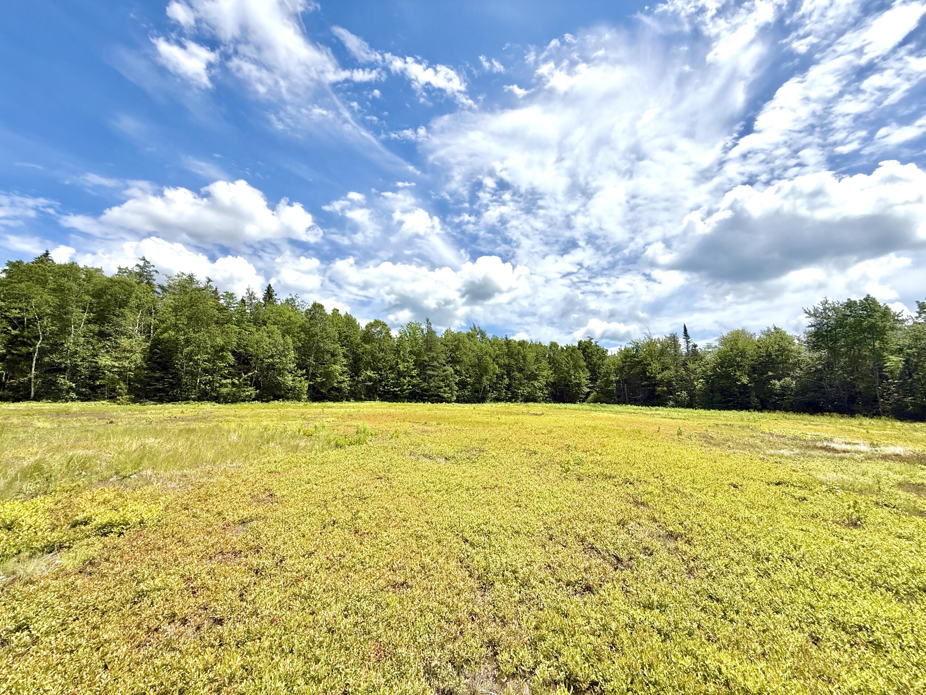 MAP13LOT9 Martins Ridge Road, Franklin, ME, 04634