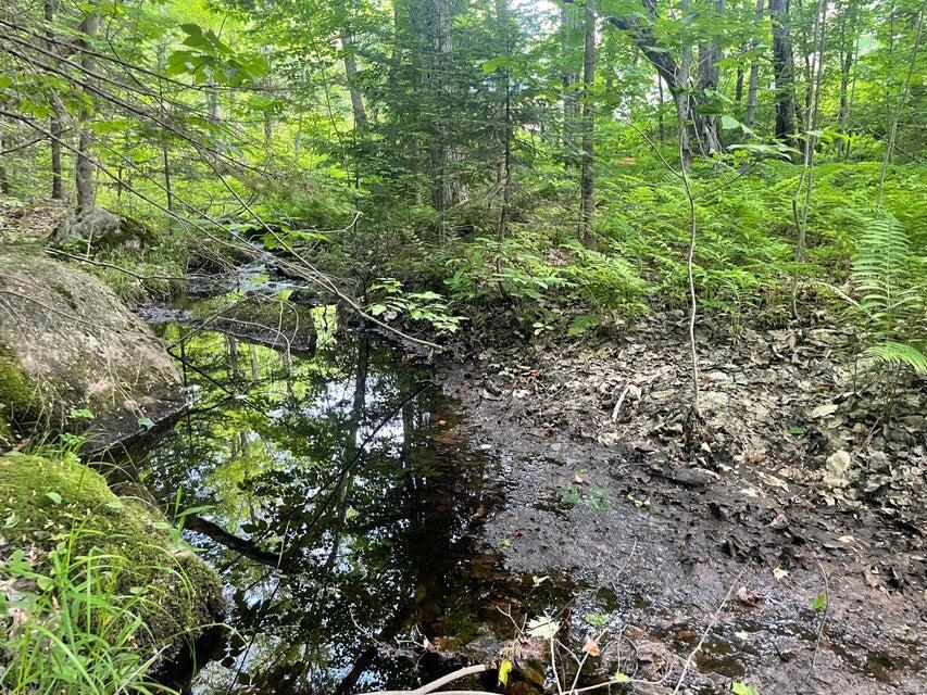 80 Gammon Road, Peru, ME, 04290