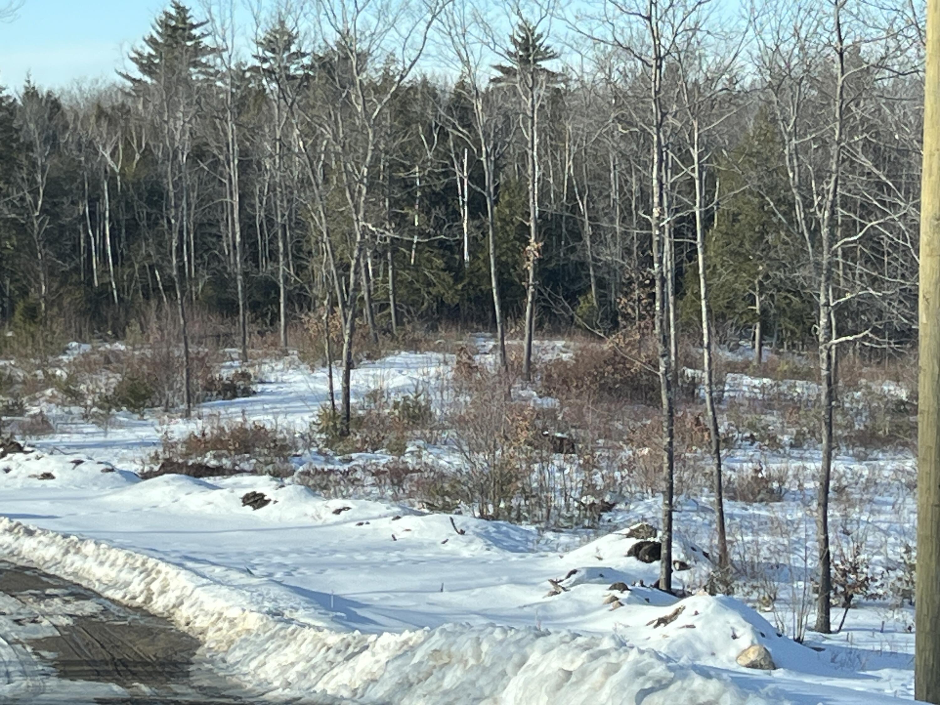 Lot A8 West Road, Waterboro, ME, 04087