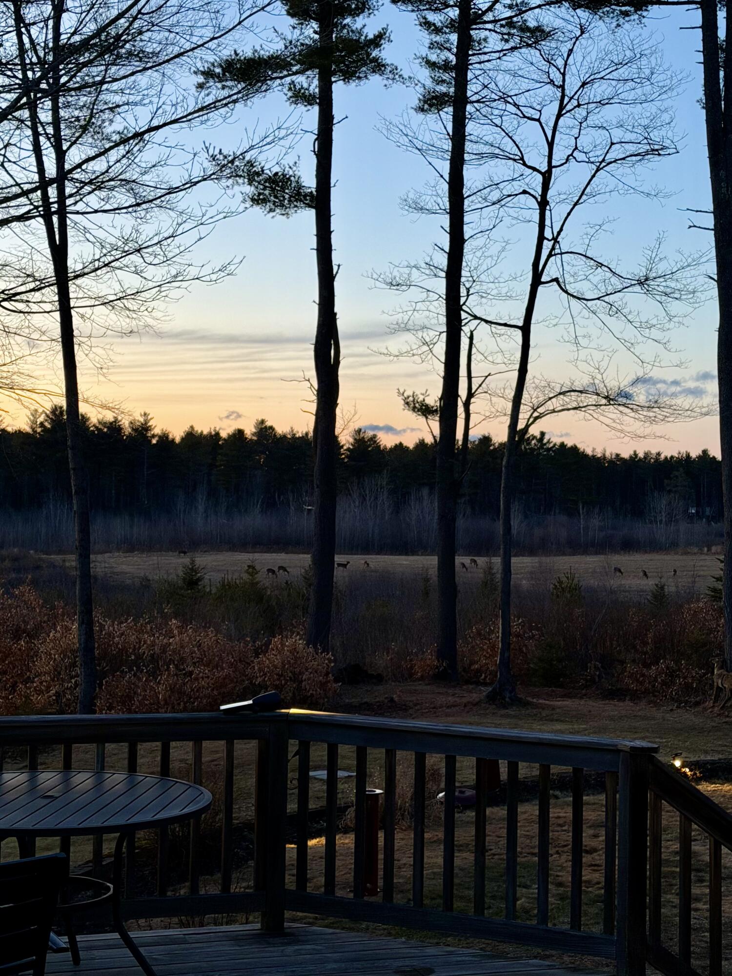 68 Adams Way, Freeport, ME, 04032