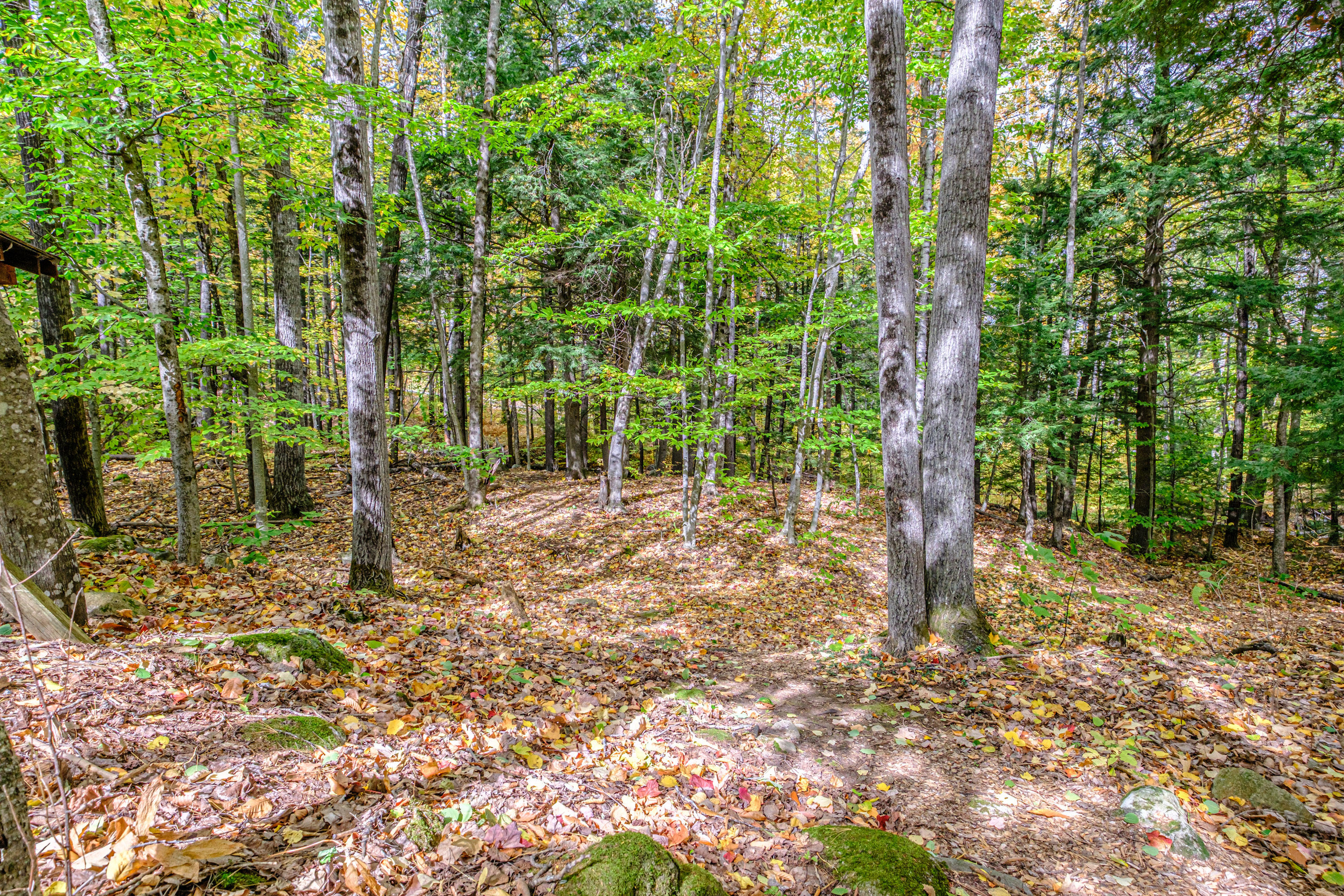 45 Viking Village Road, Newry, ME, 04261-3247