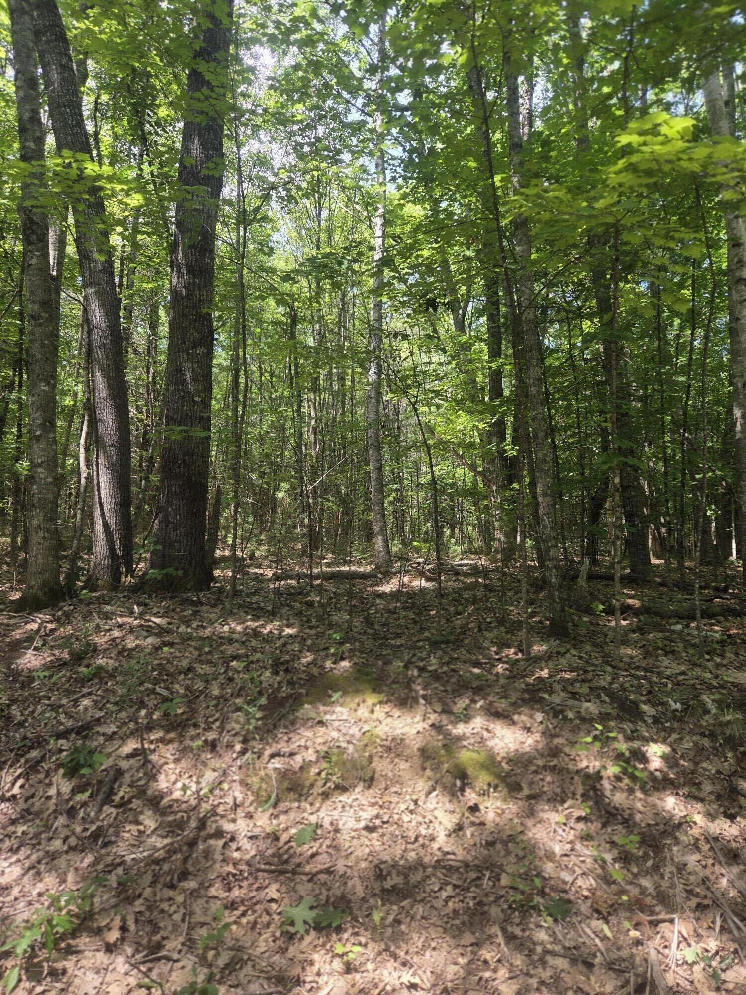 74 Lovejoy Shores Drive, Fayette, ME 04349 20260717_122156